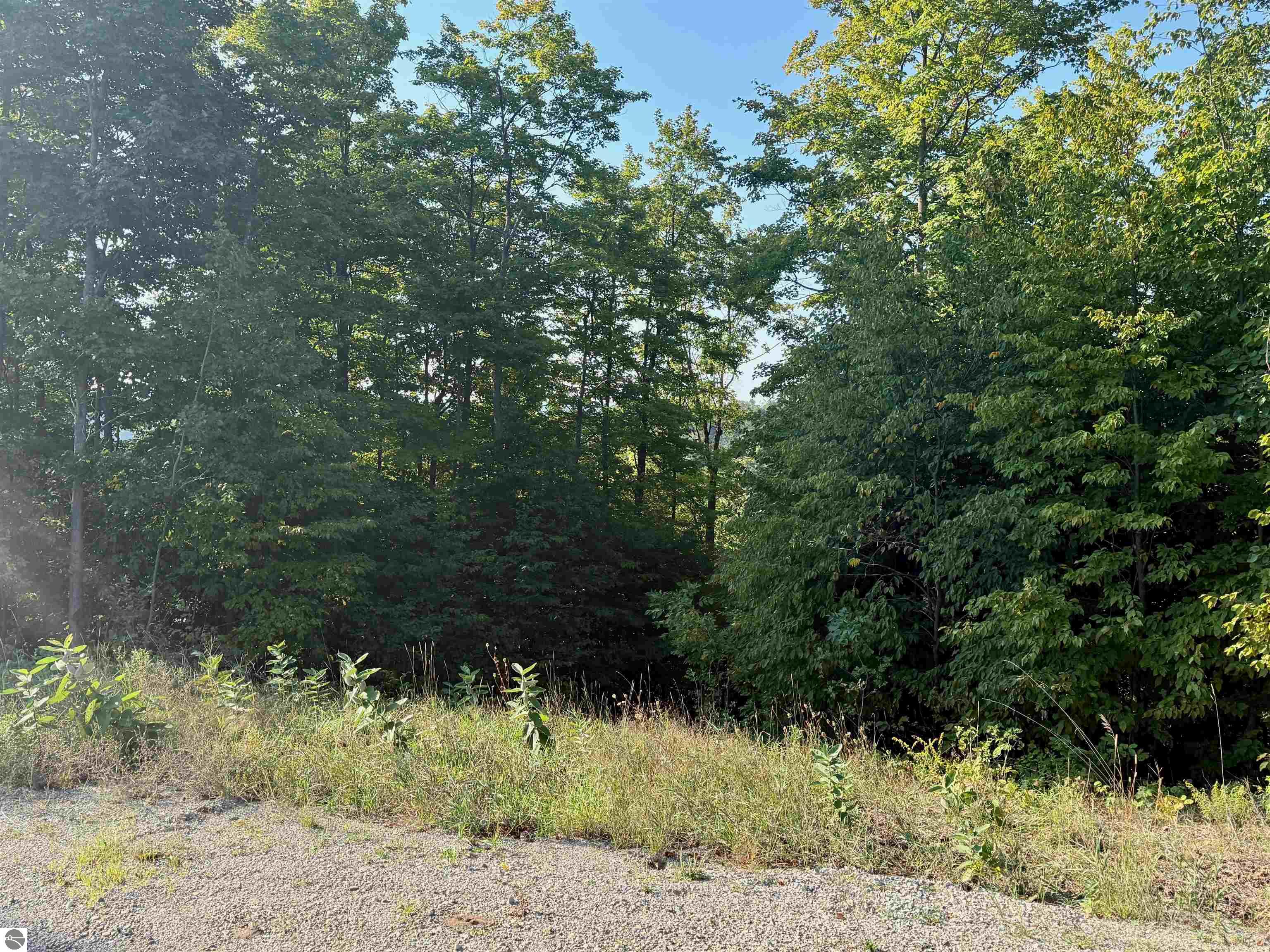 0 W Timber Wolf Court