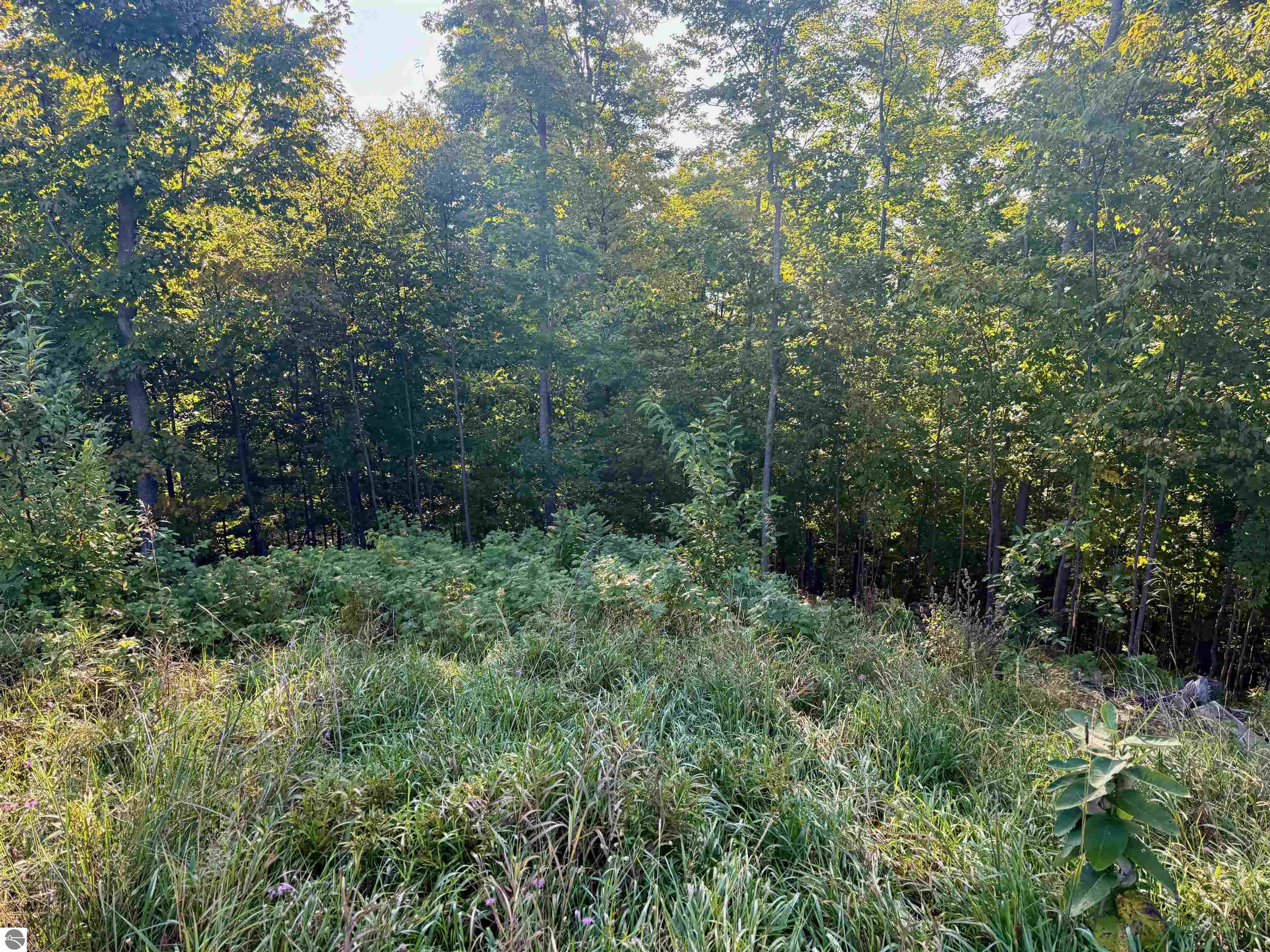 0 W Timber Wolf Court