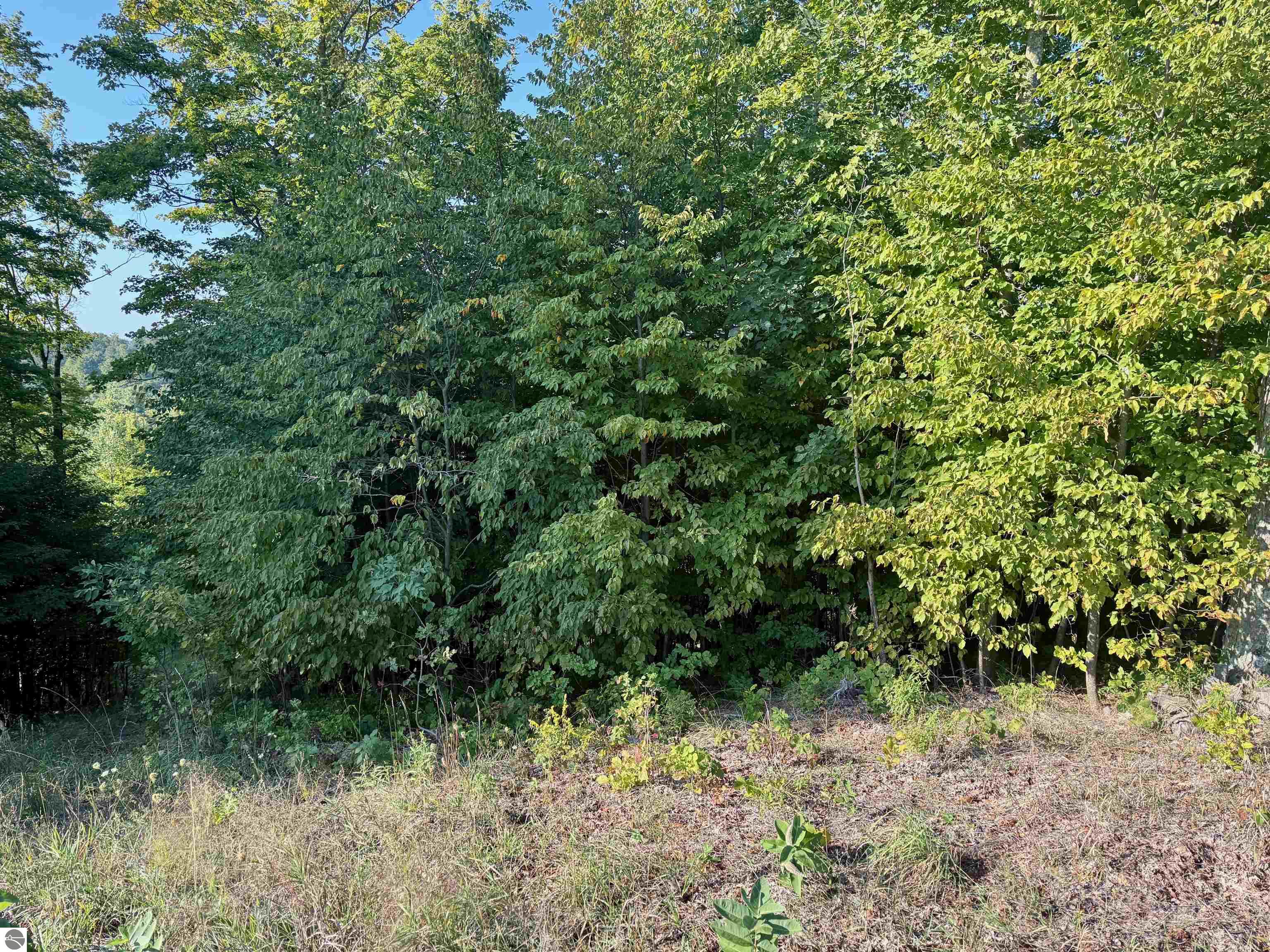 0 W Timber Wolf Court