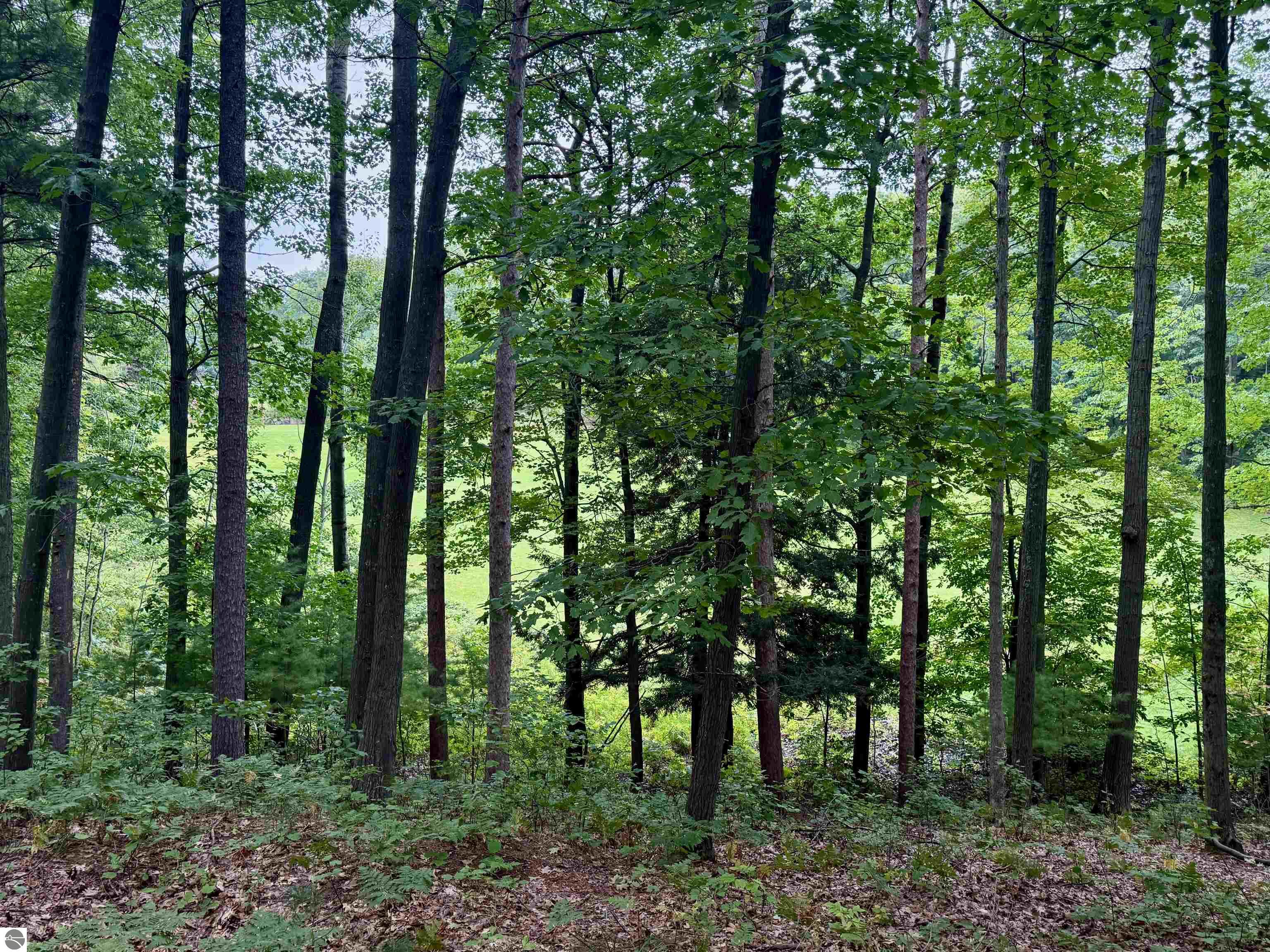 35 Brook Hill Cottages