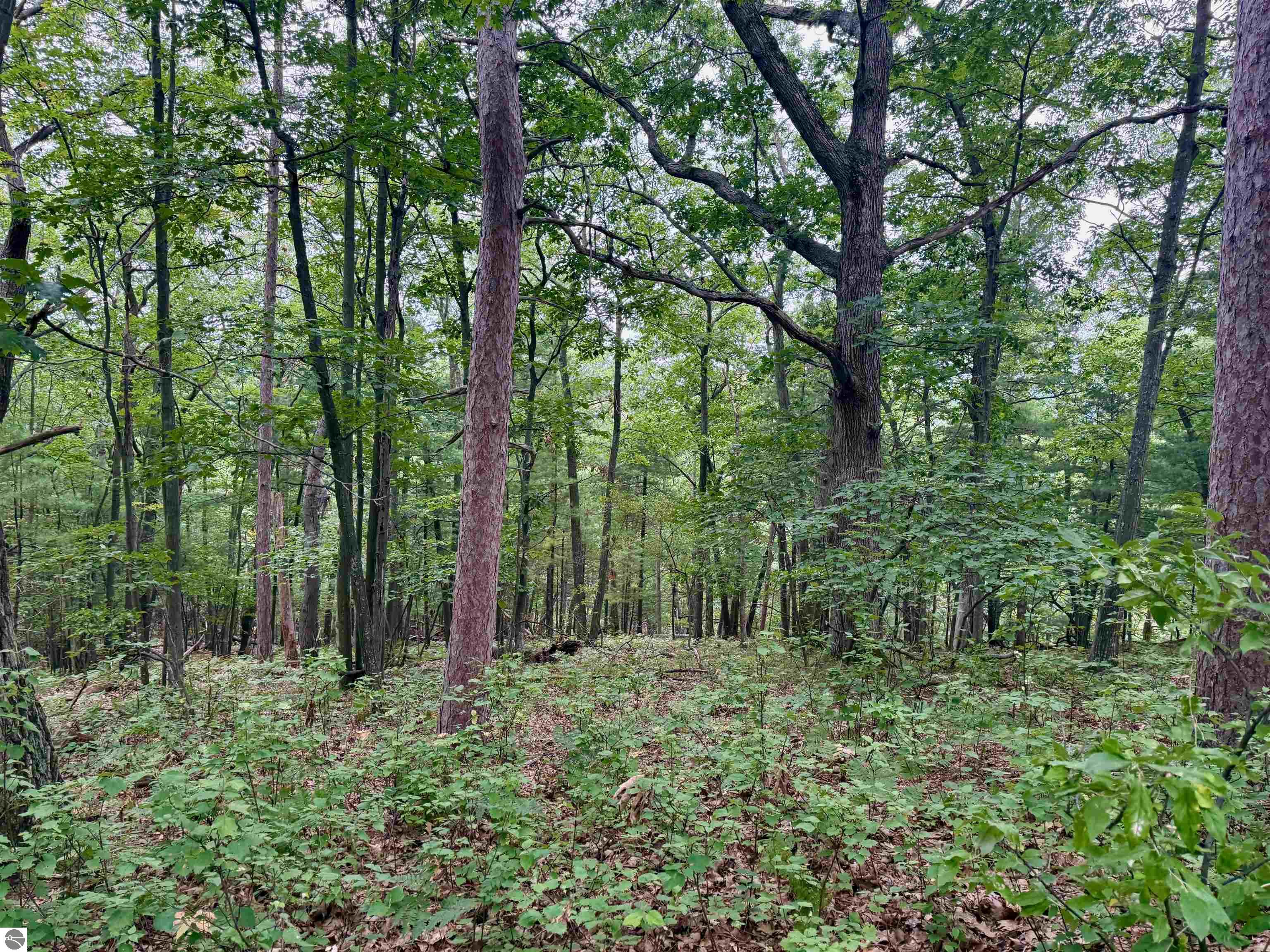 35 Brook Hill Cottages