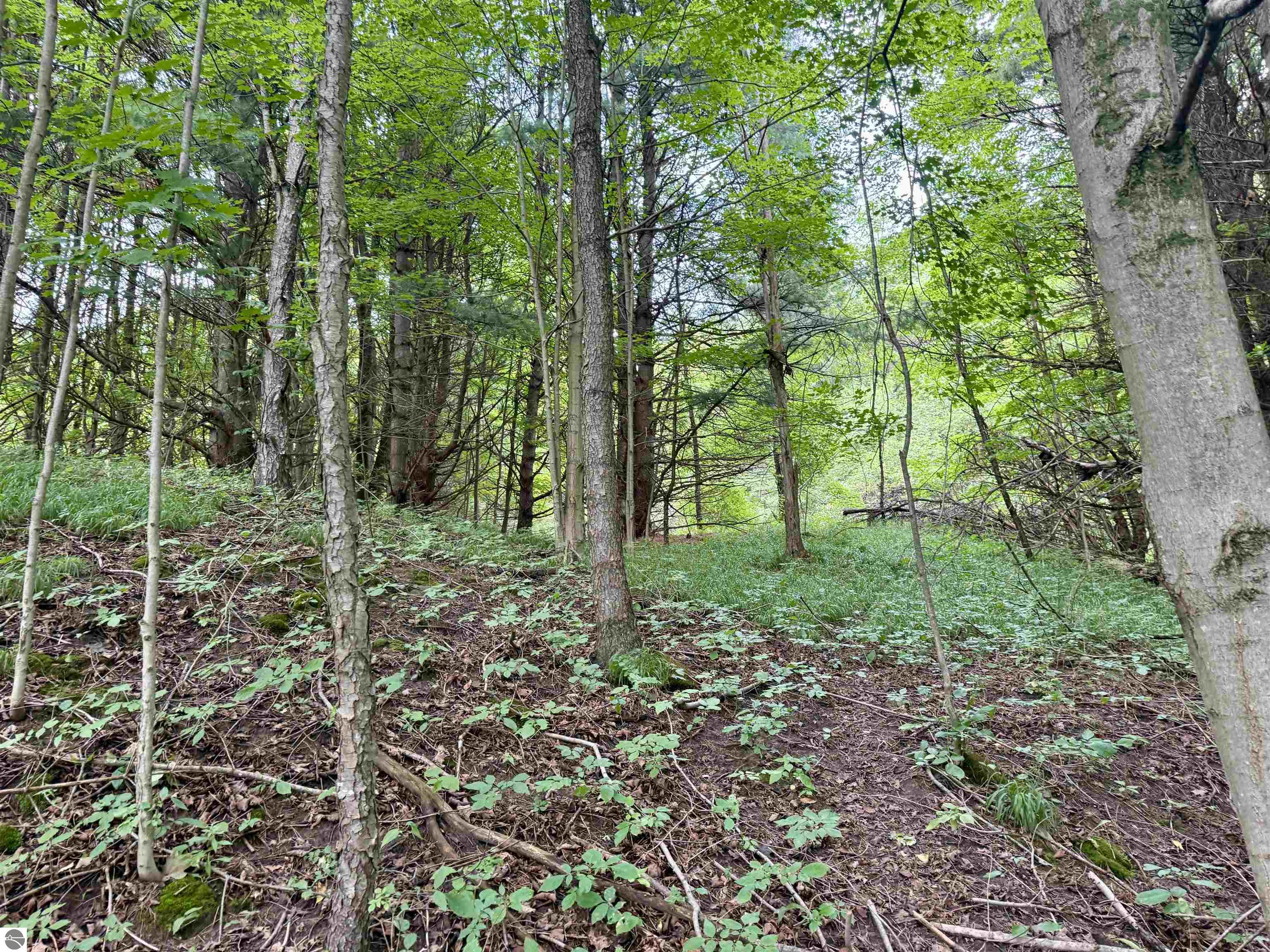 0000 W Empire Highway