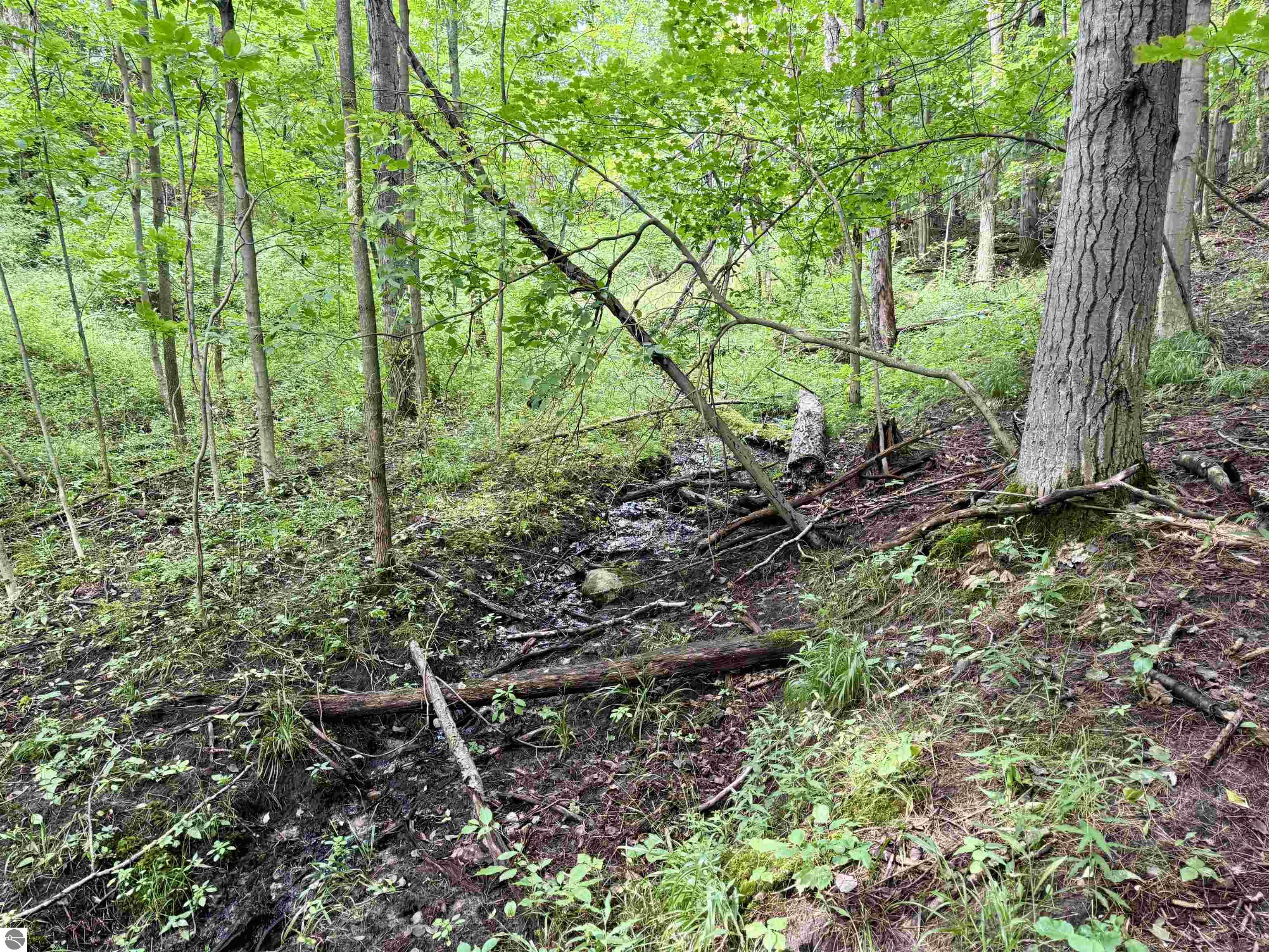 0000 W Empire Highway