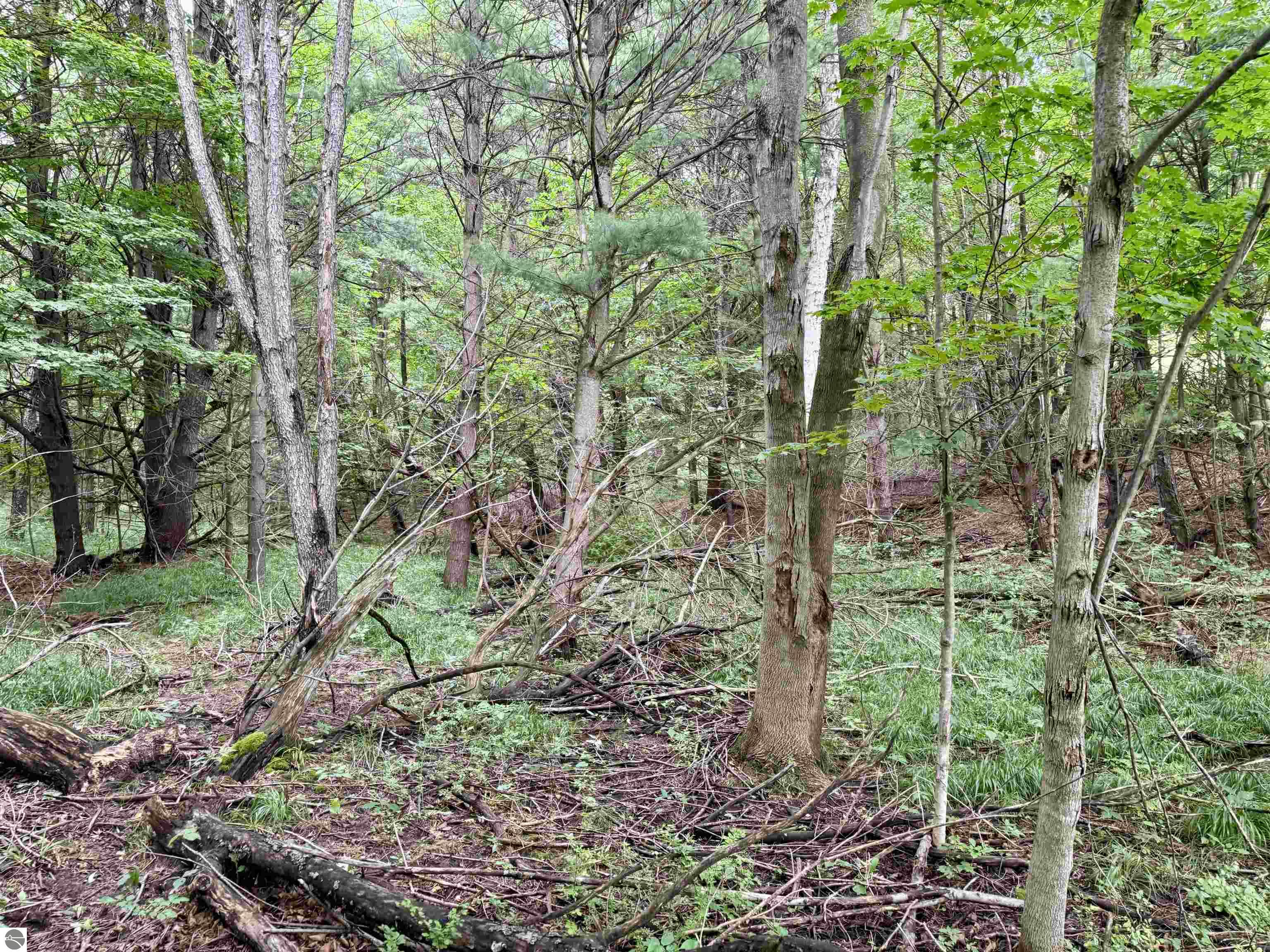 0000 W Empire Highway