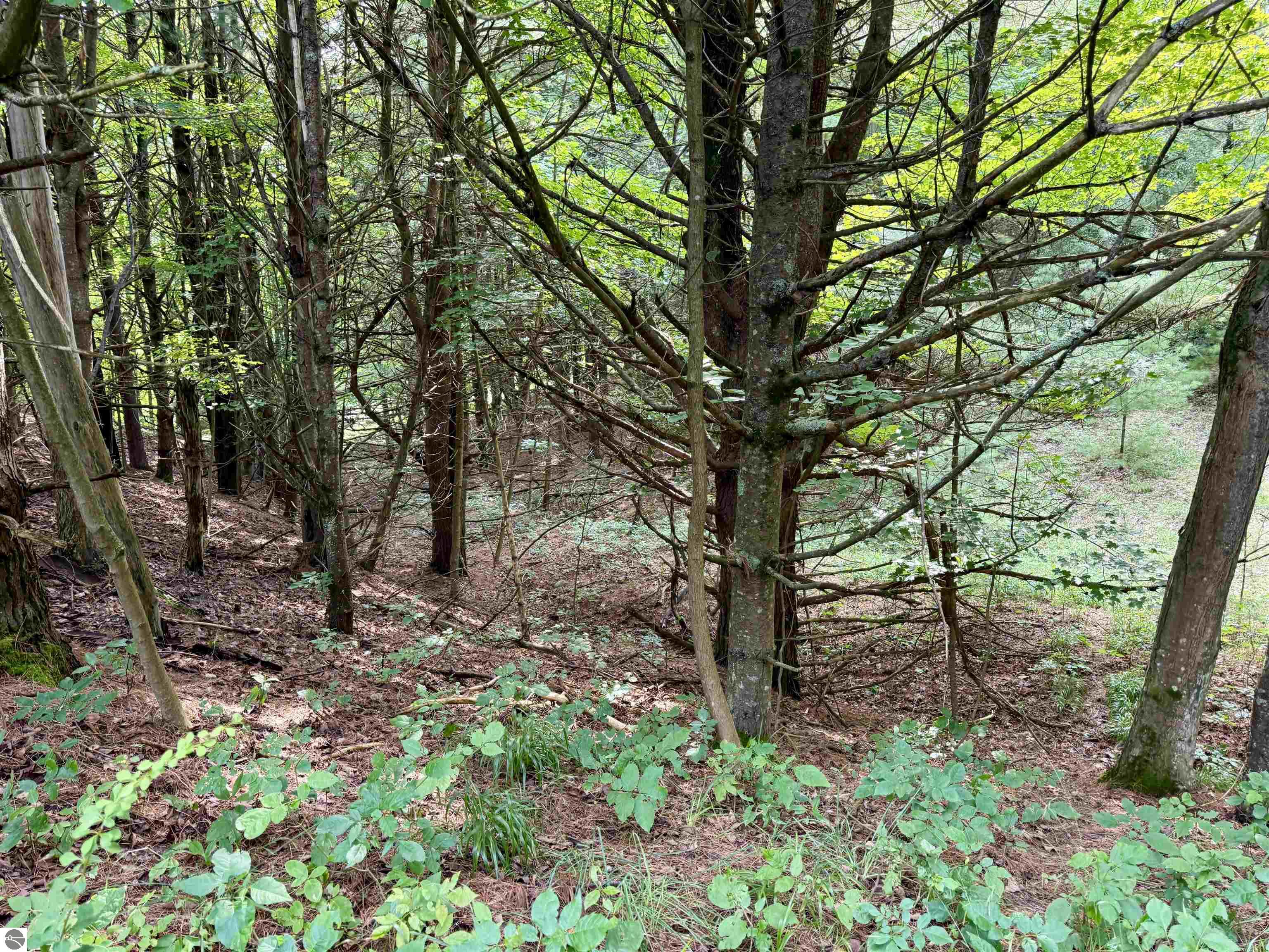 0000 W Empire Highway