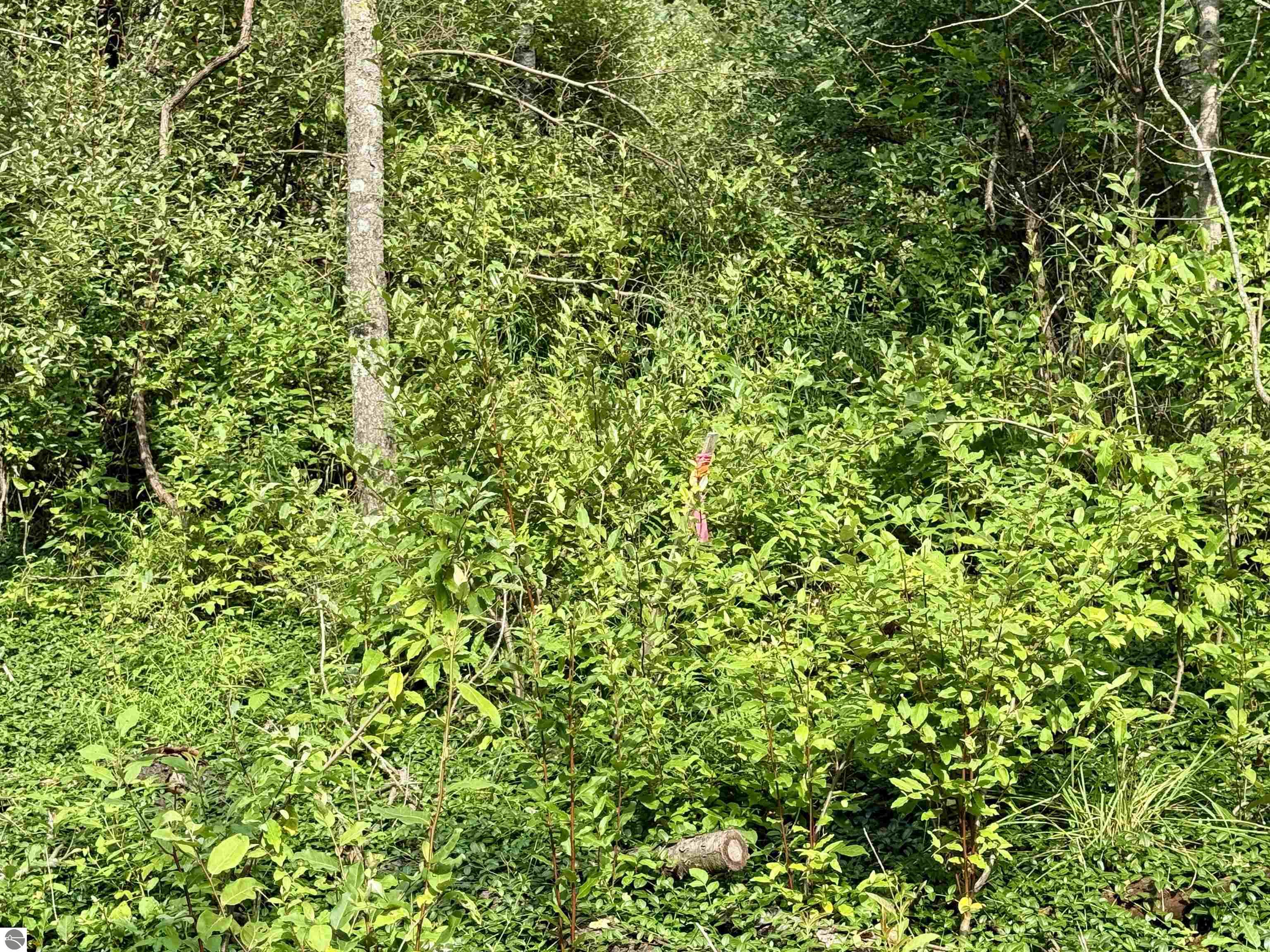 0000 W Empire Highway