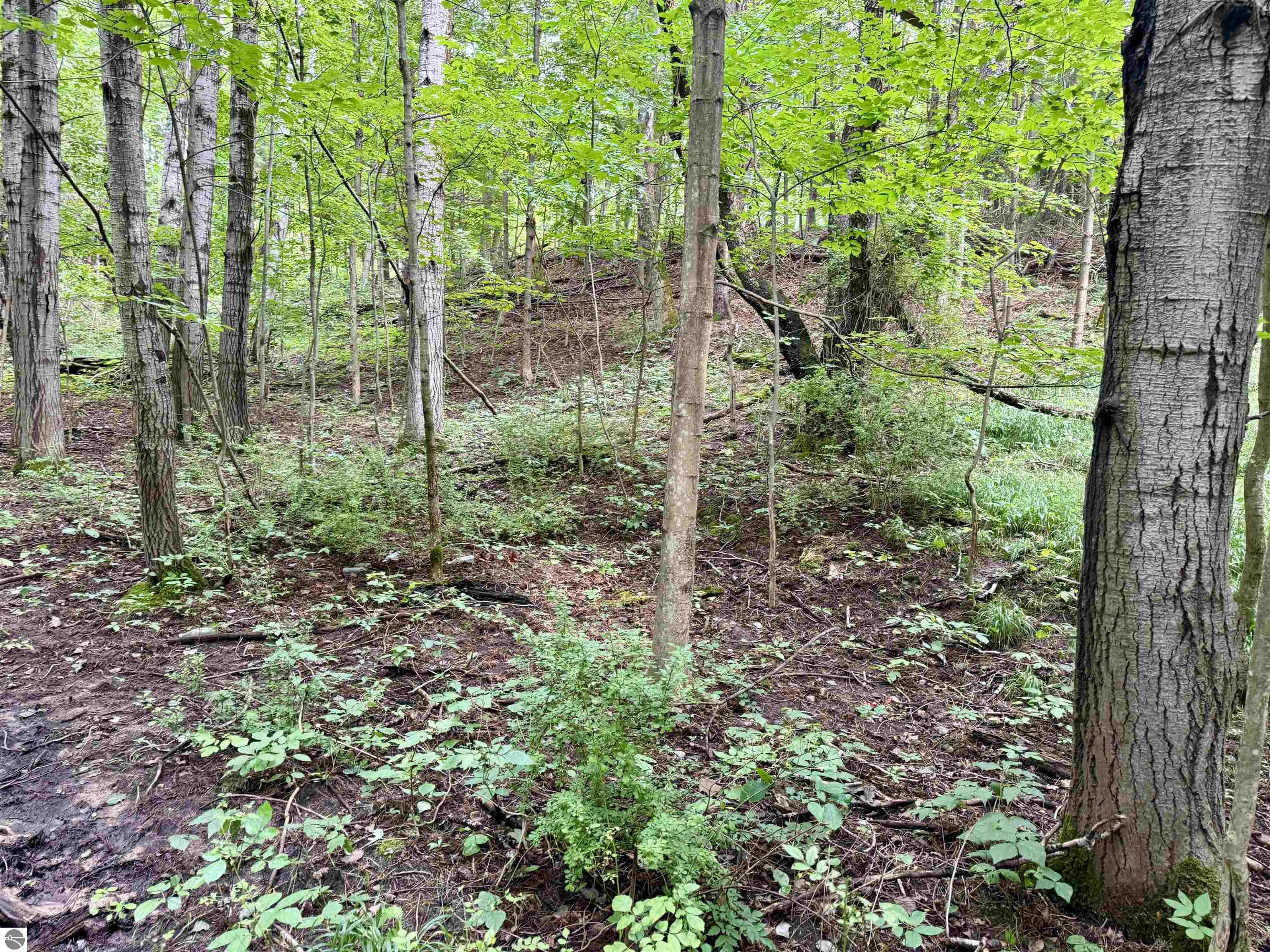 0000 W Empire Highway