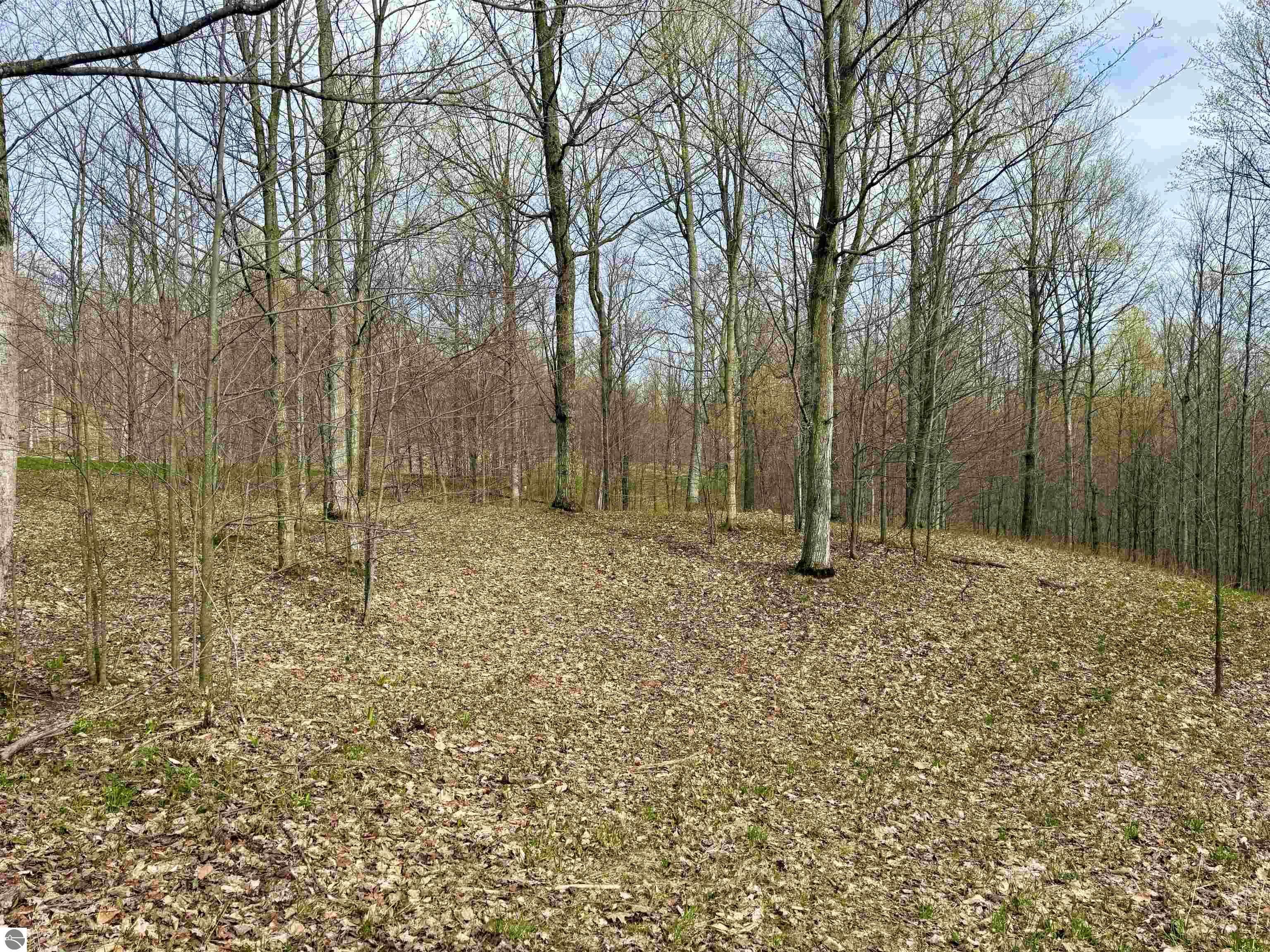 011 W Timber View Trail