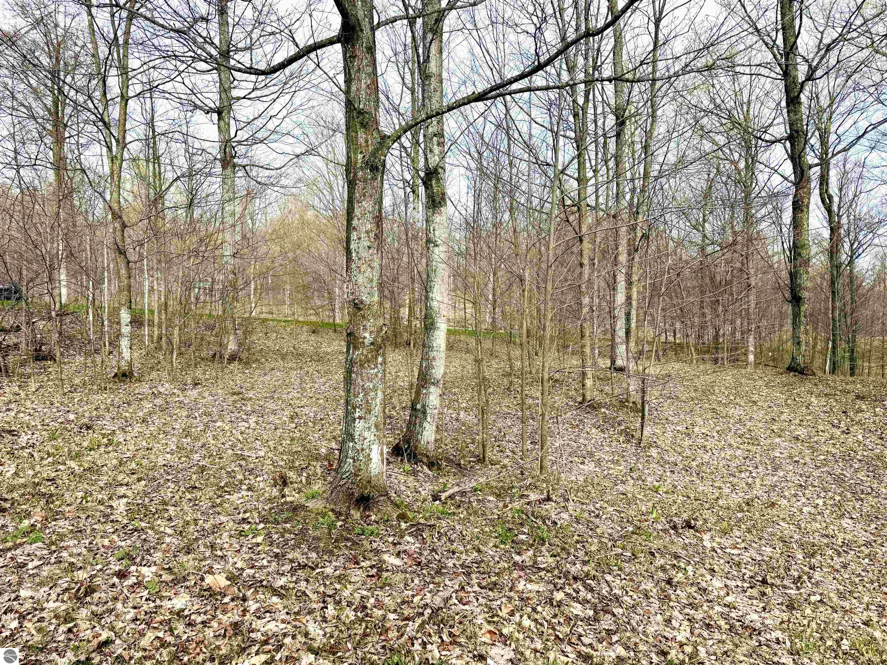 011 W Timber View Trail