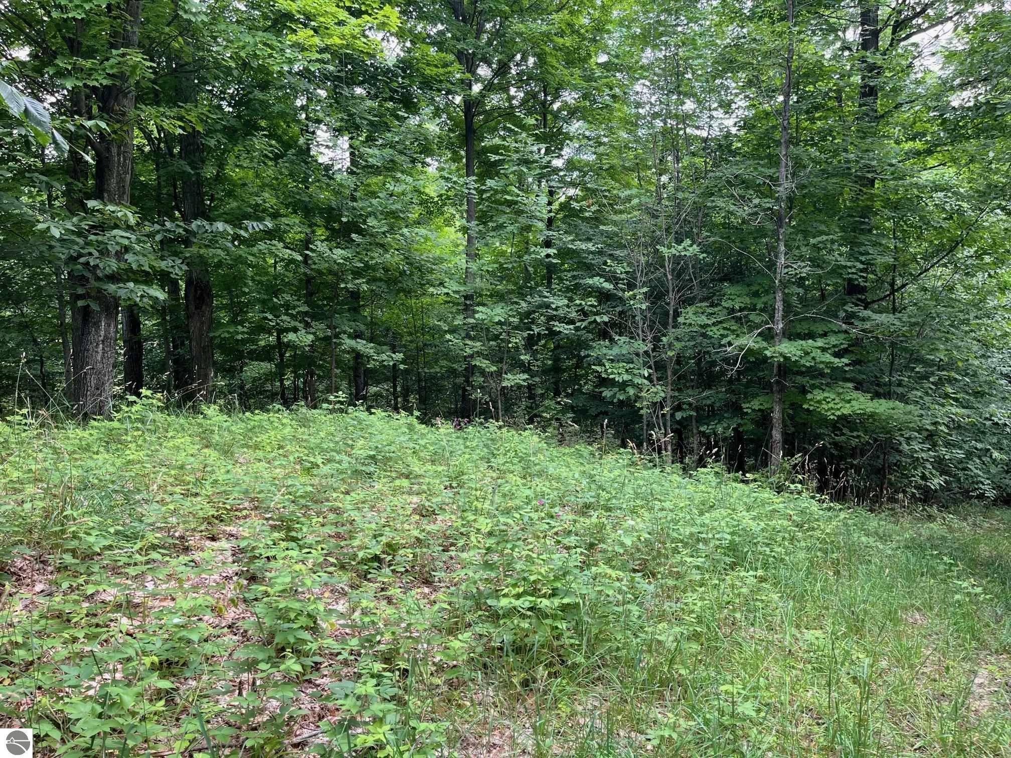 011 W Timber View Trail