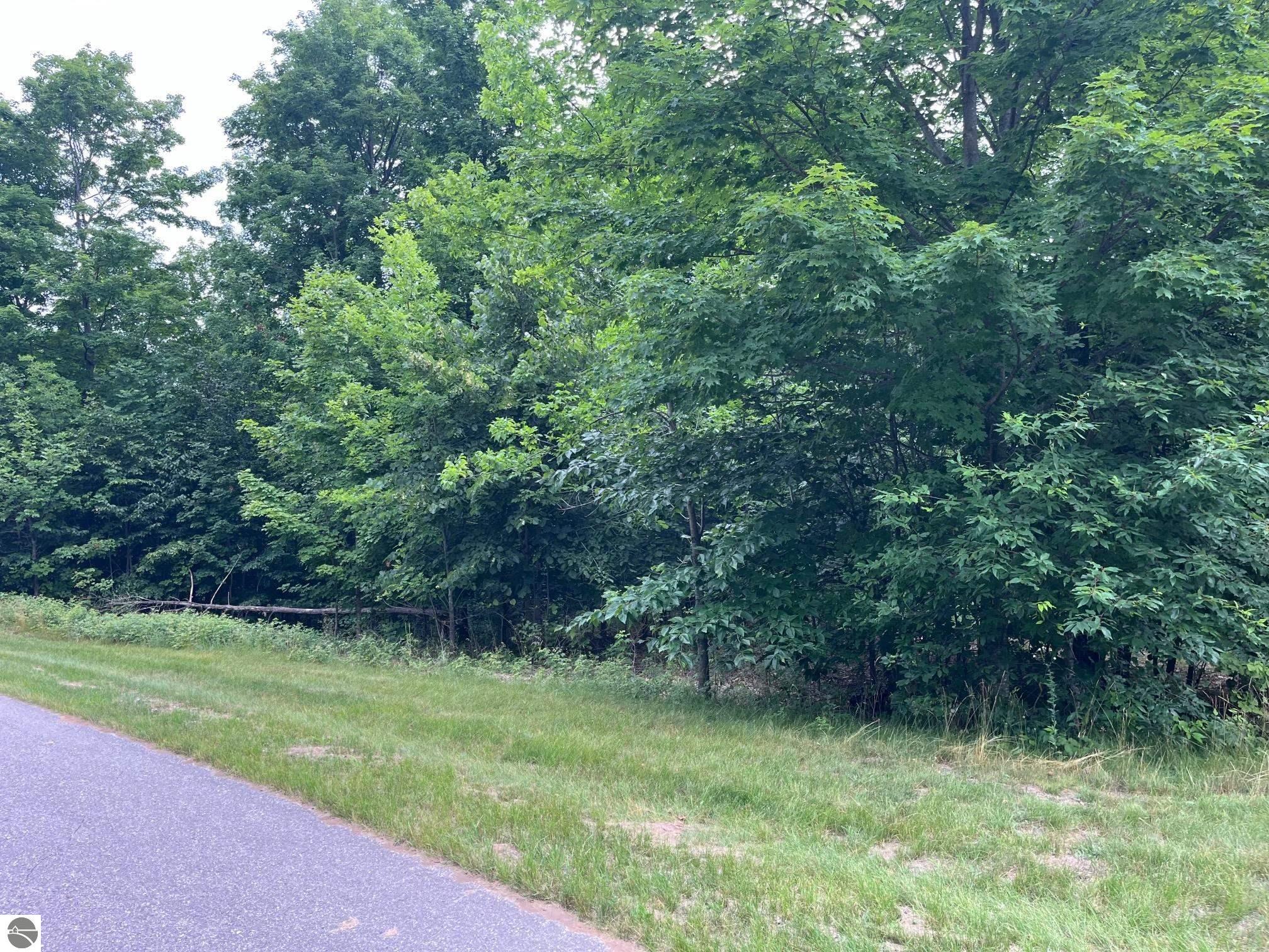 011 W Timber View Trail