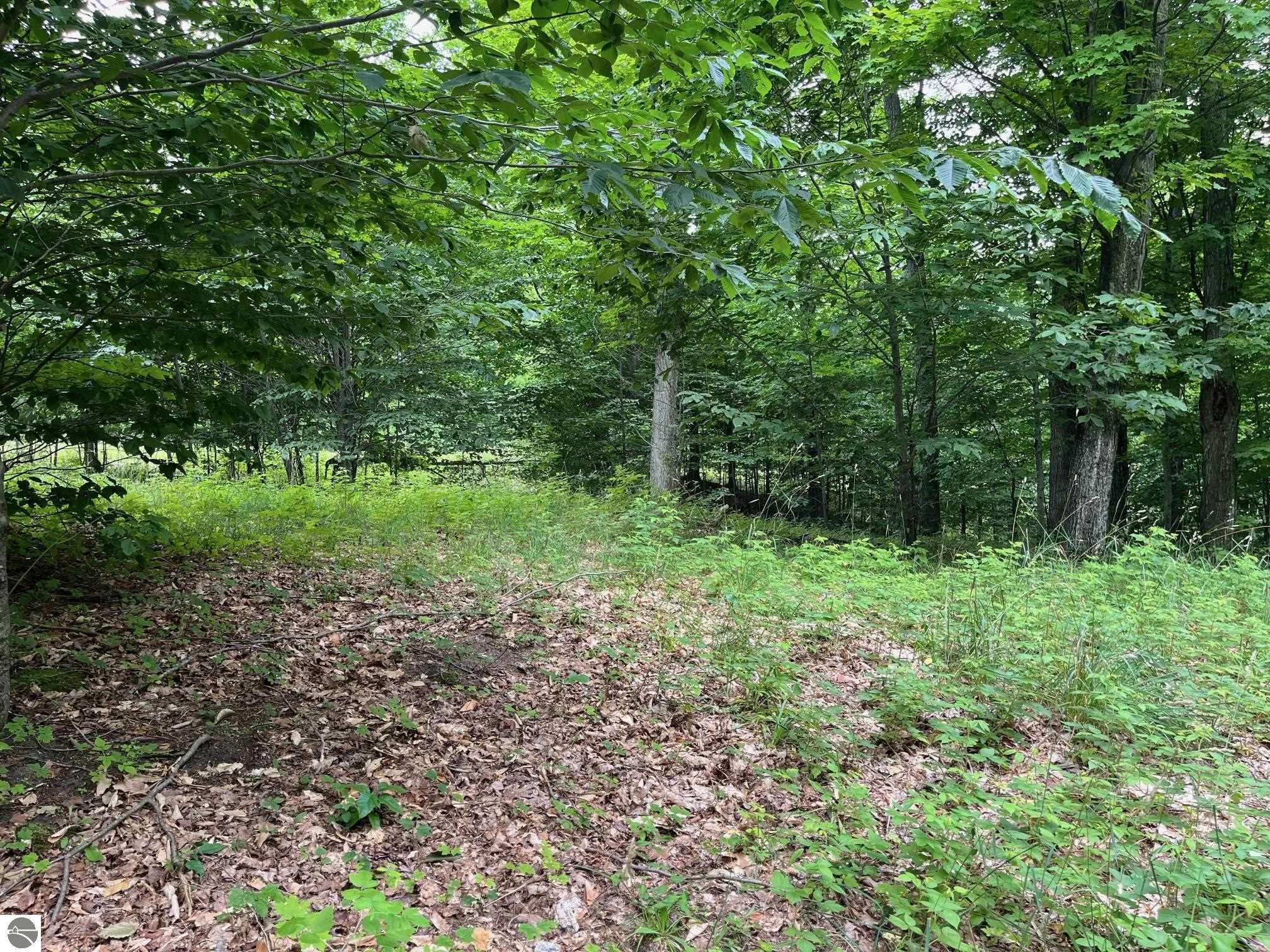 011 W Timber View Trail
