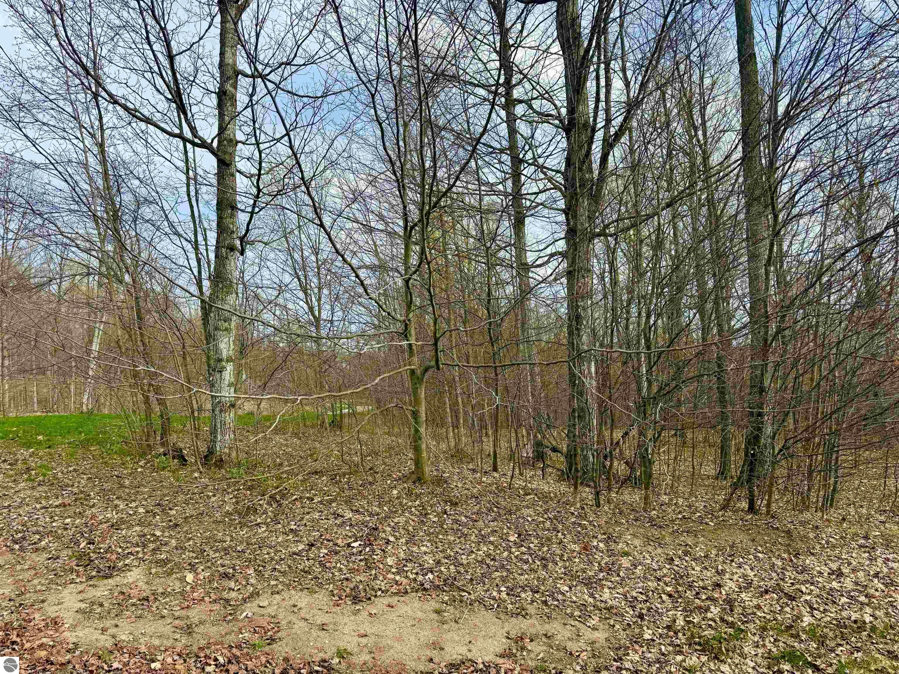 011 W Timber View Trail