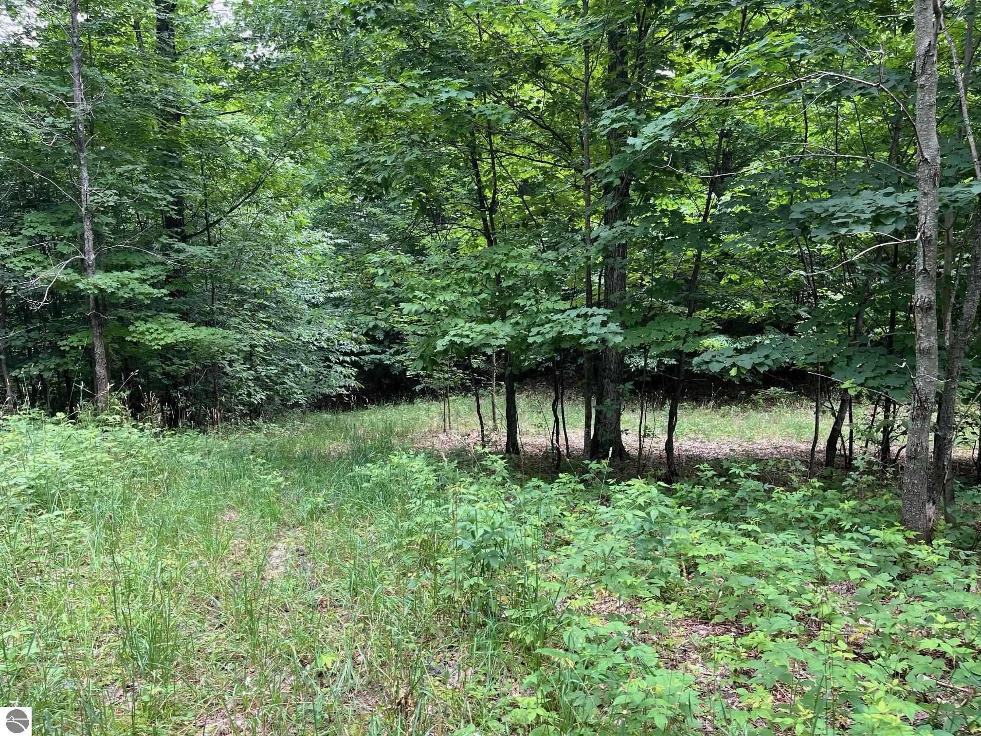 011 W Timber View Trail