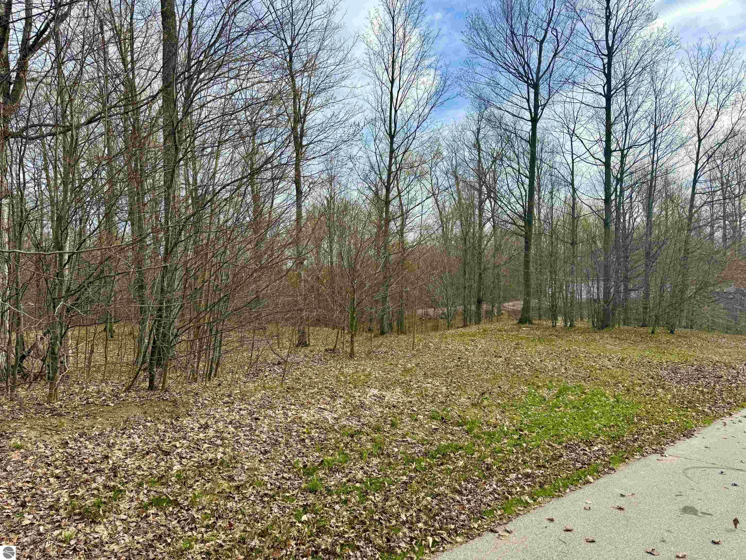 011 W Timber View Trail