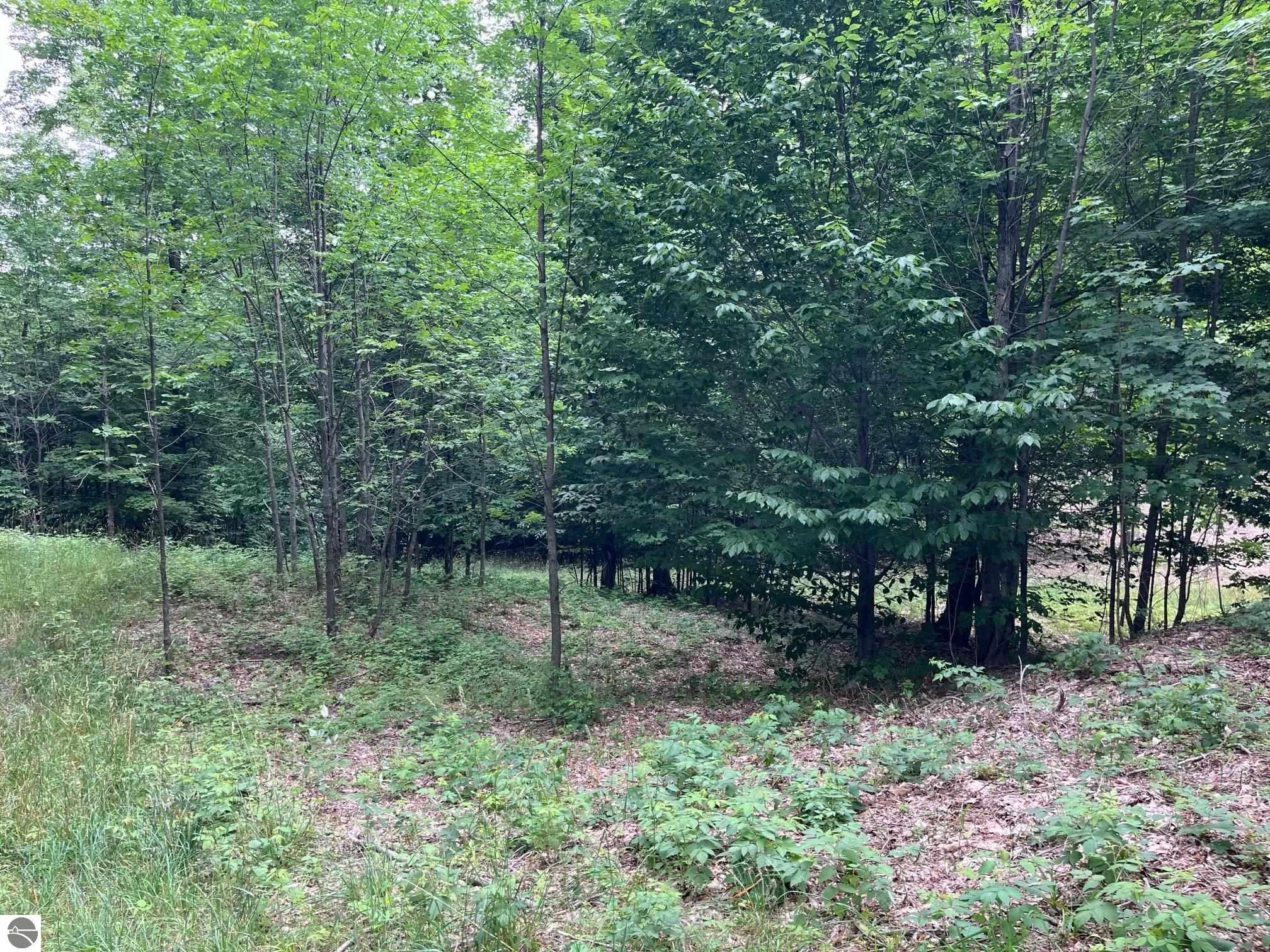 011 W Timber View Trail