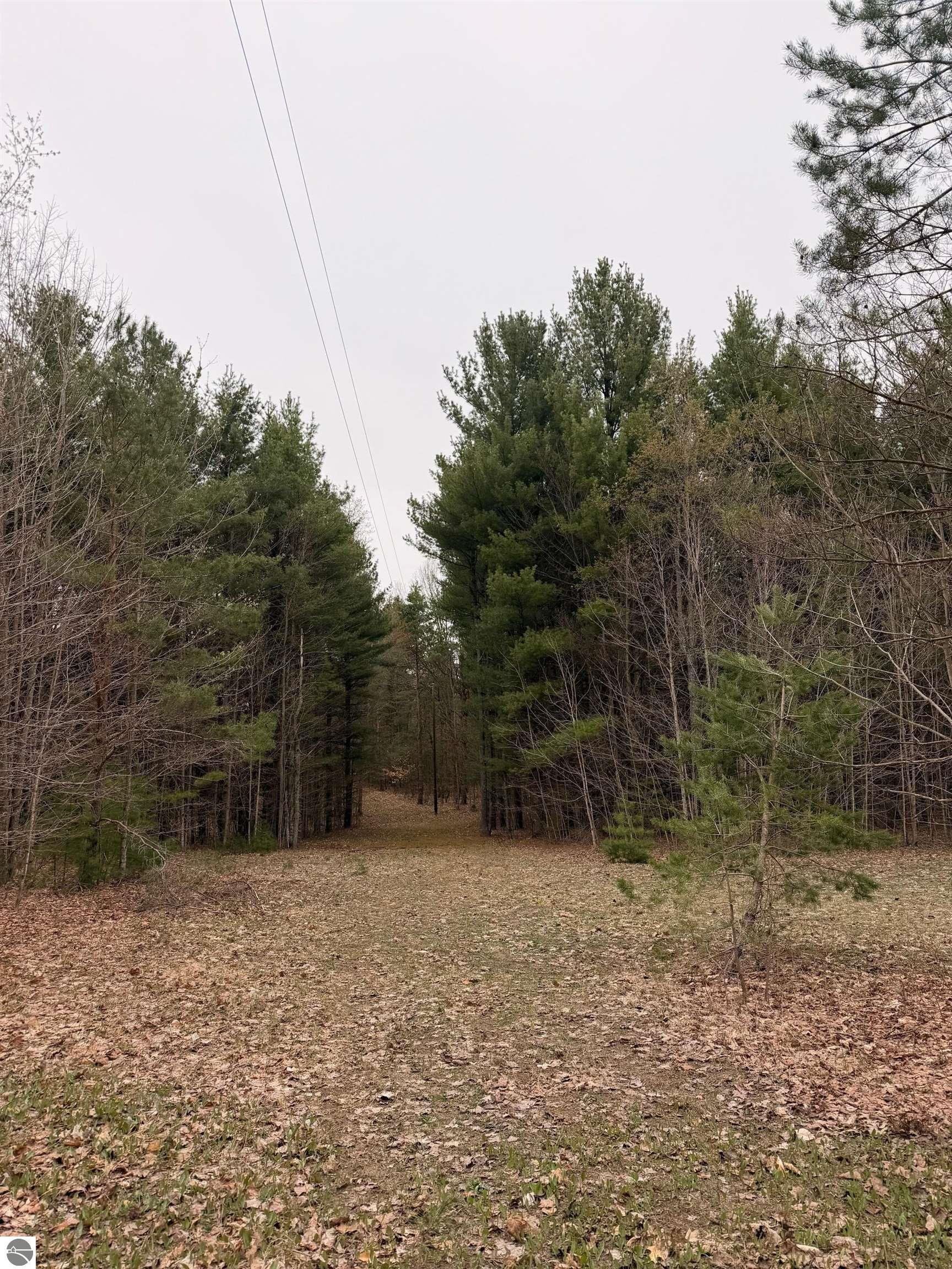 02 Woodland Trail