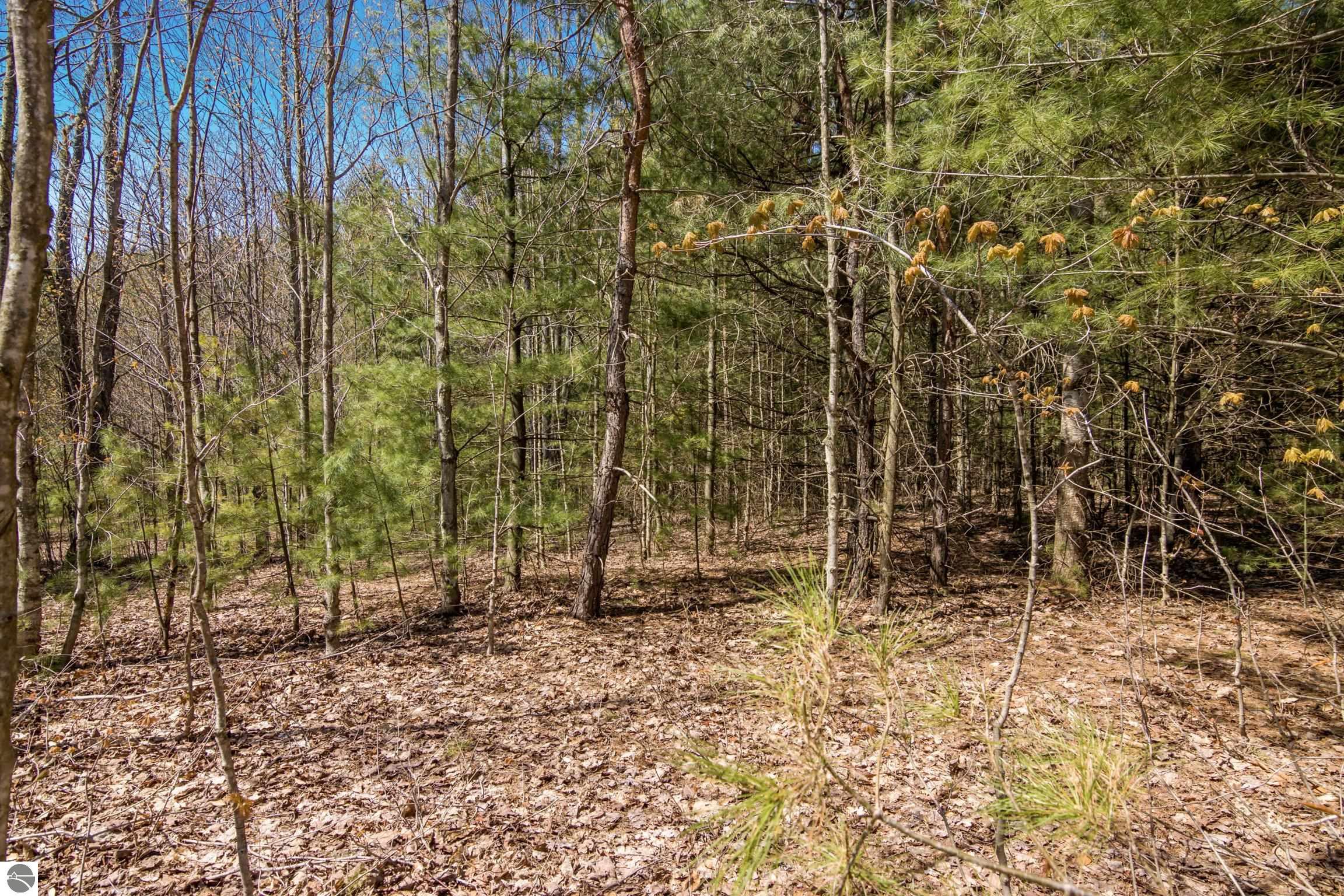 02 Woodland Trail