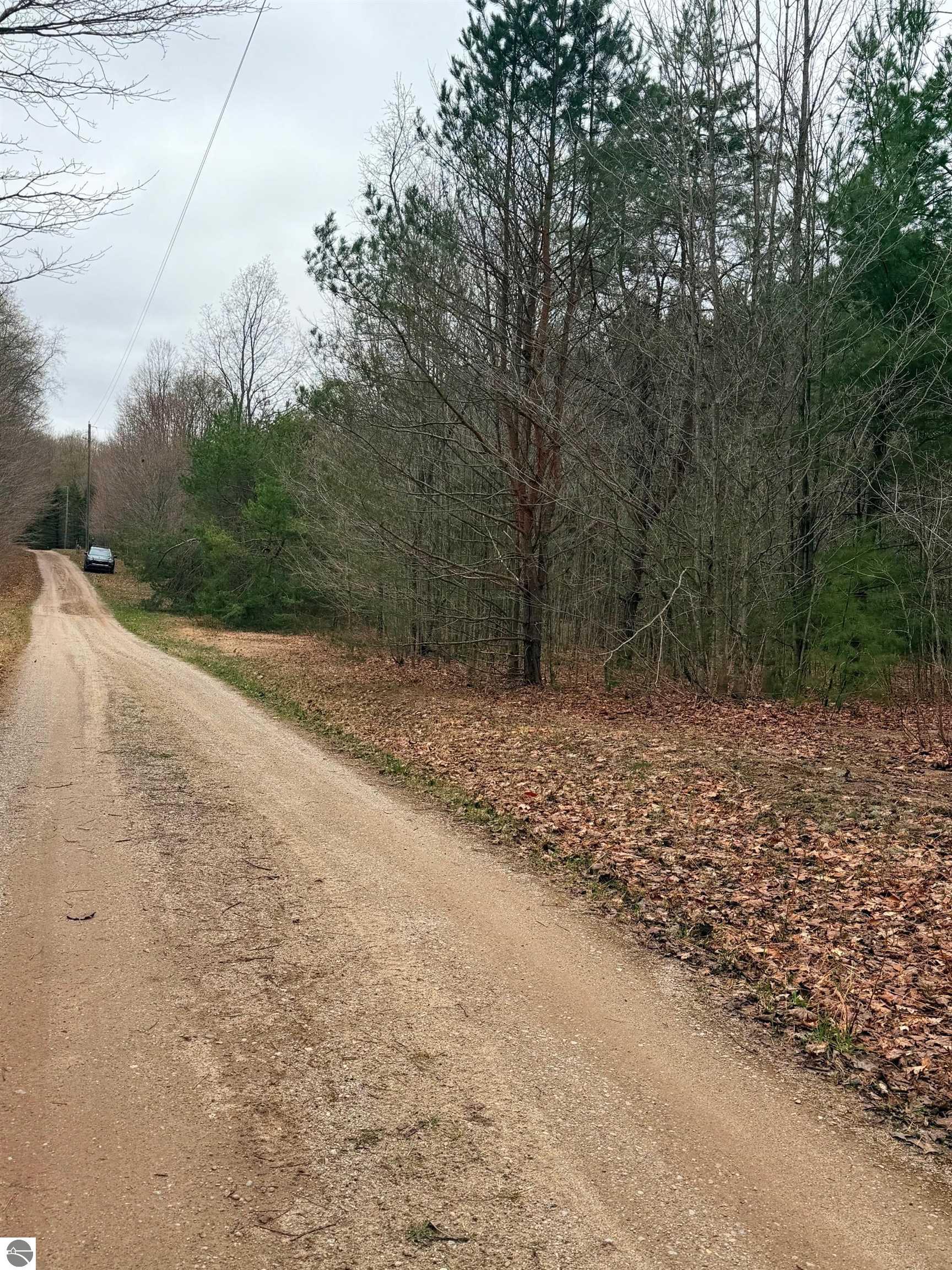 02 Woodland Trail
