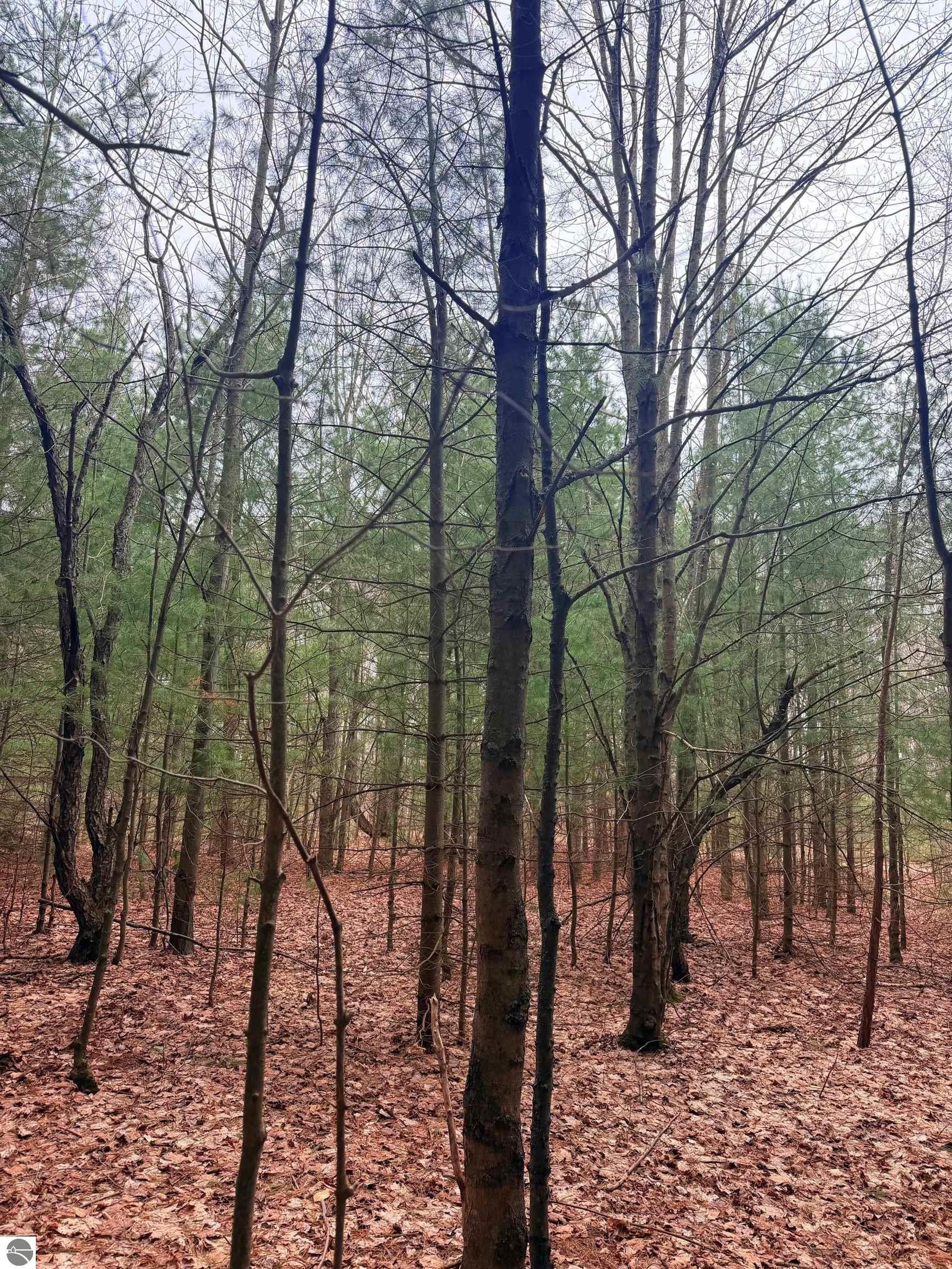 02 Woodland Trail