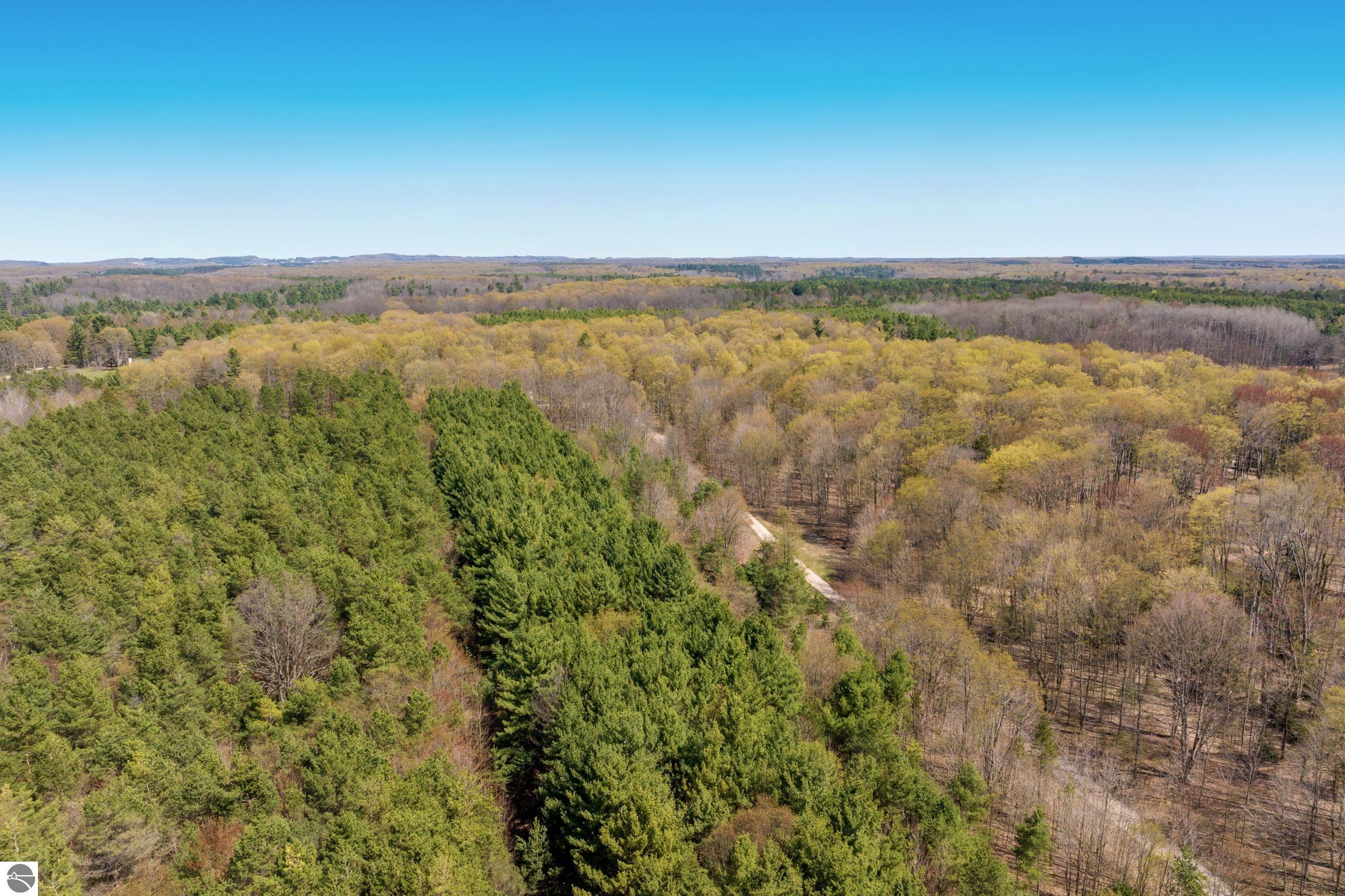 02 Woodland Trail