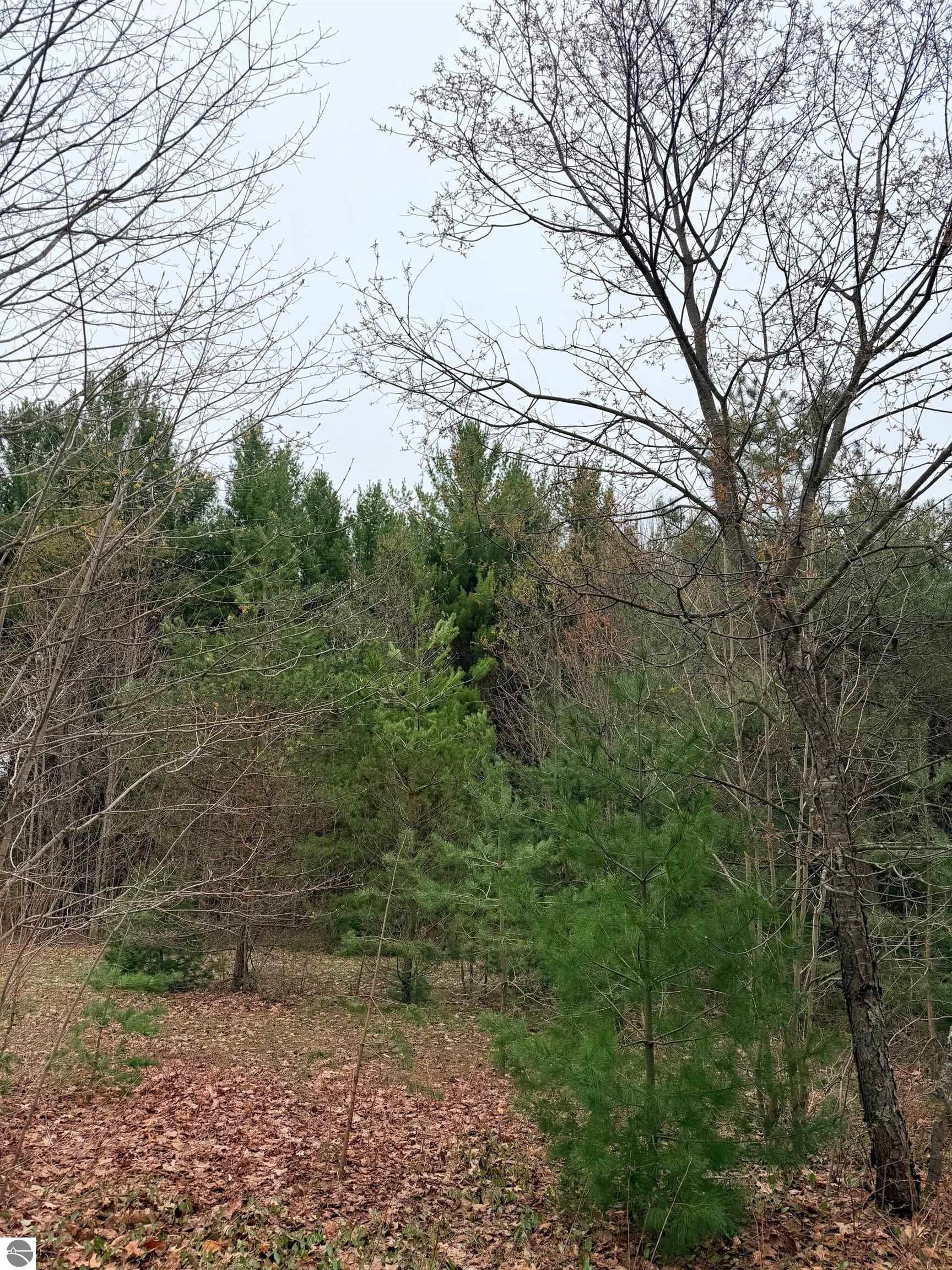 02 Woodland Trail
