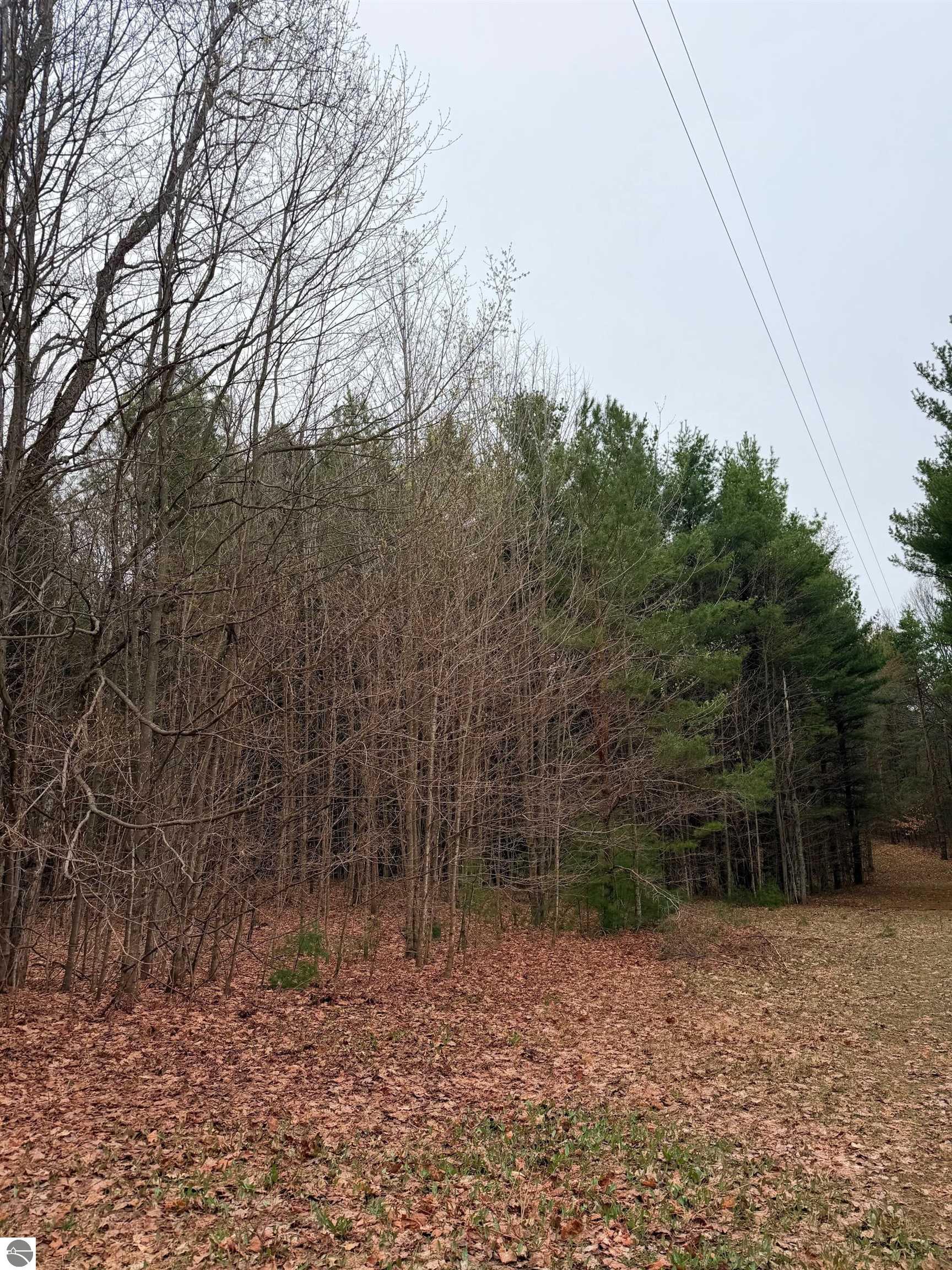 02 Woodland Trail