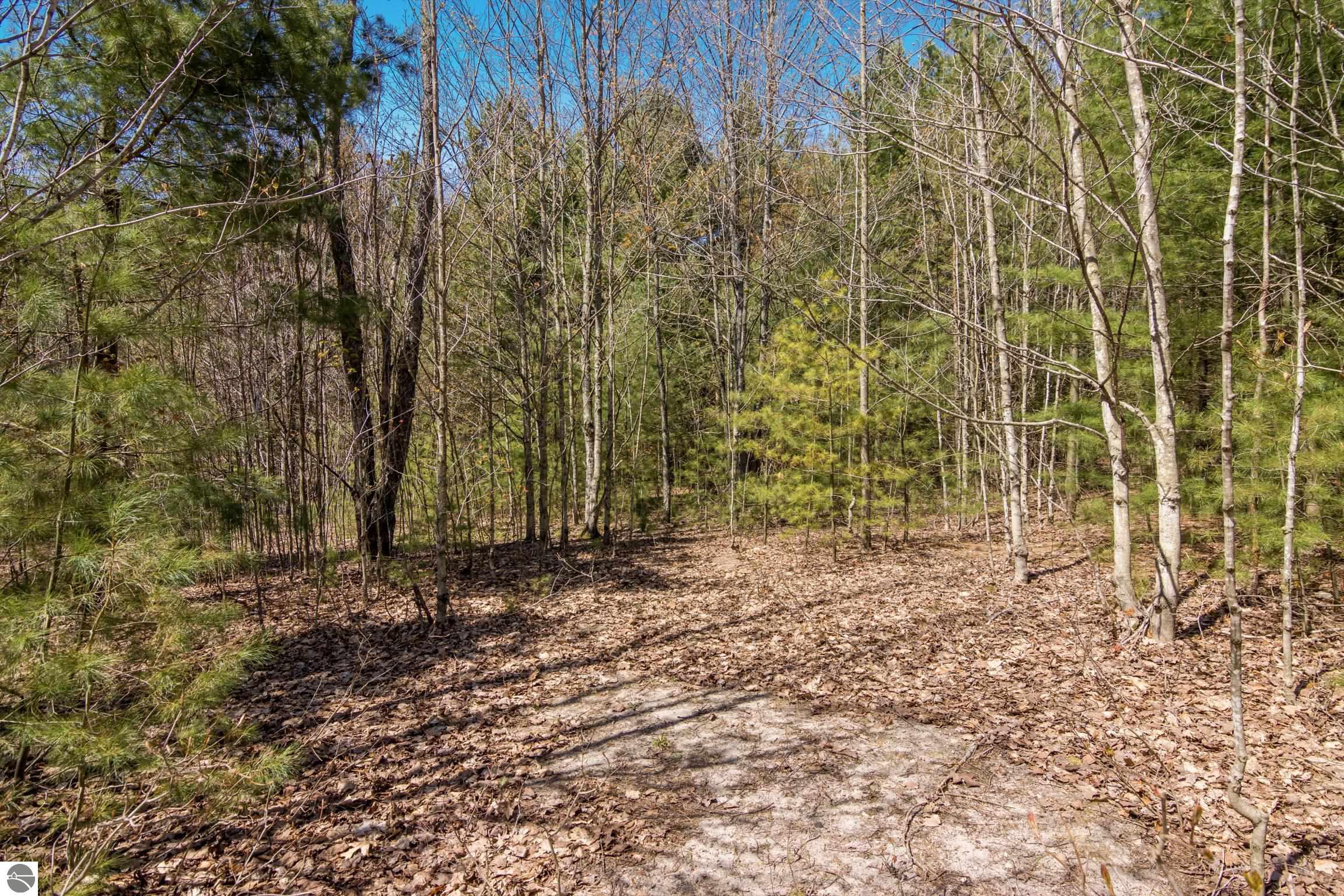02 Woodland Trail
