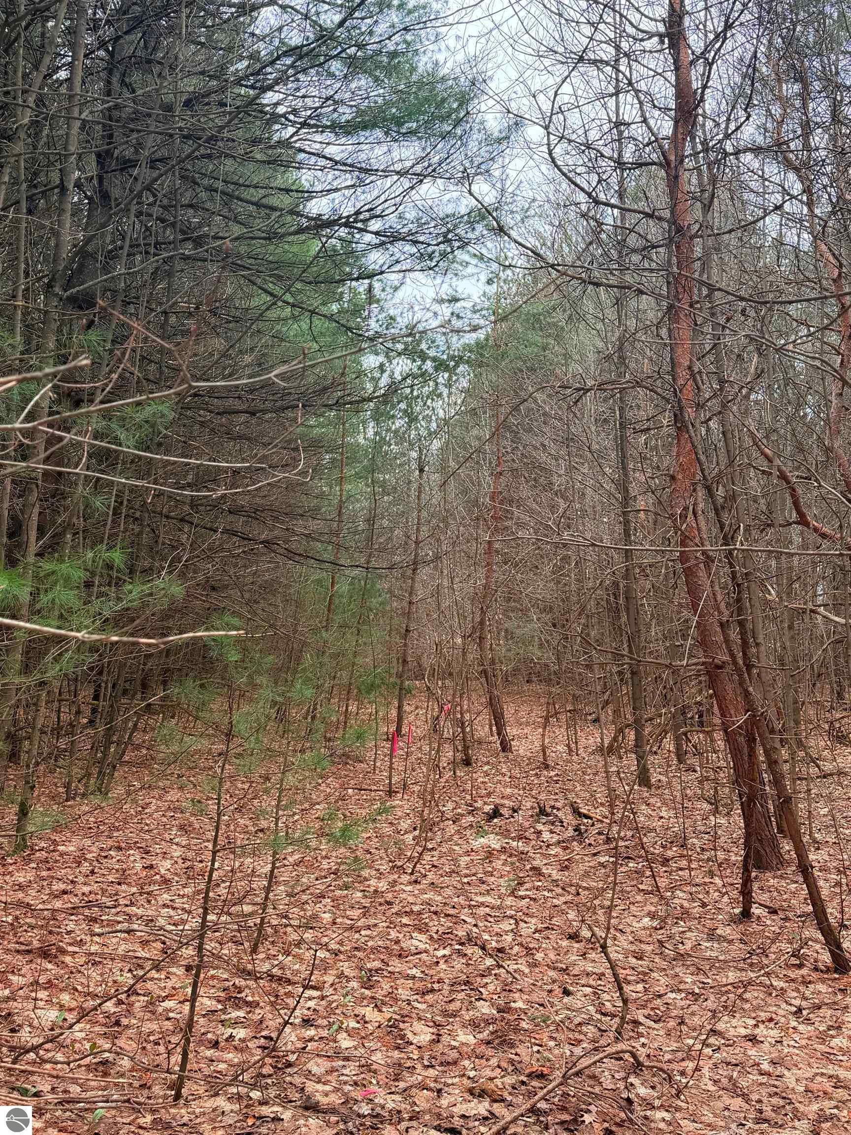 02 Woodland Trail