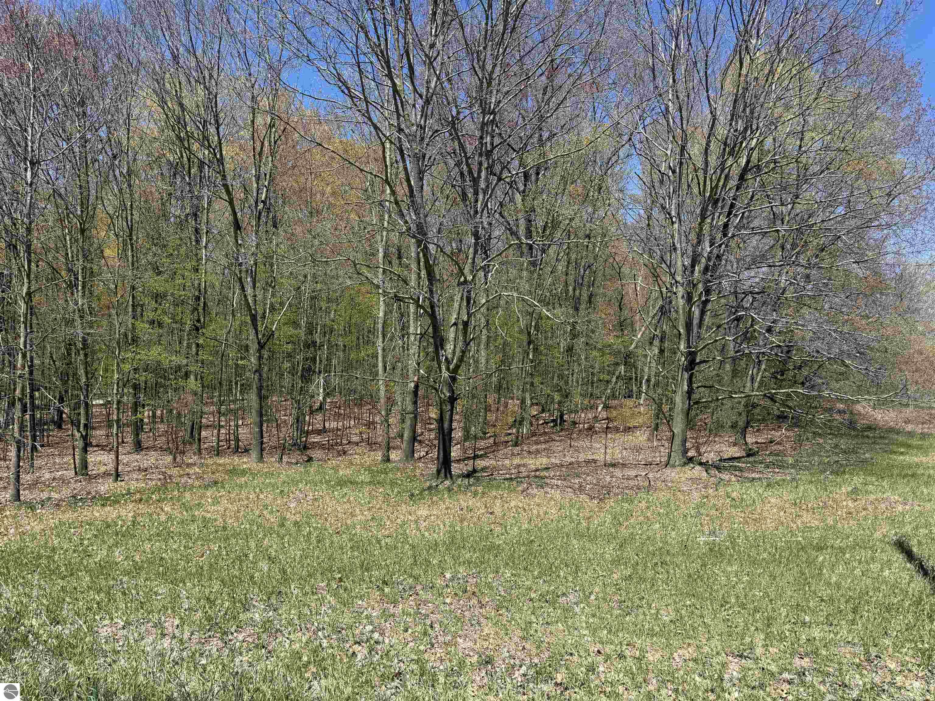 0000 Martin Road