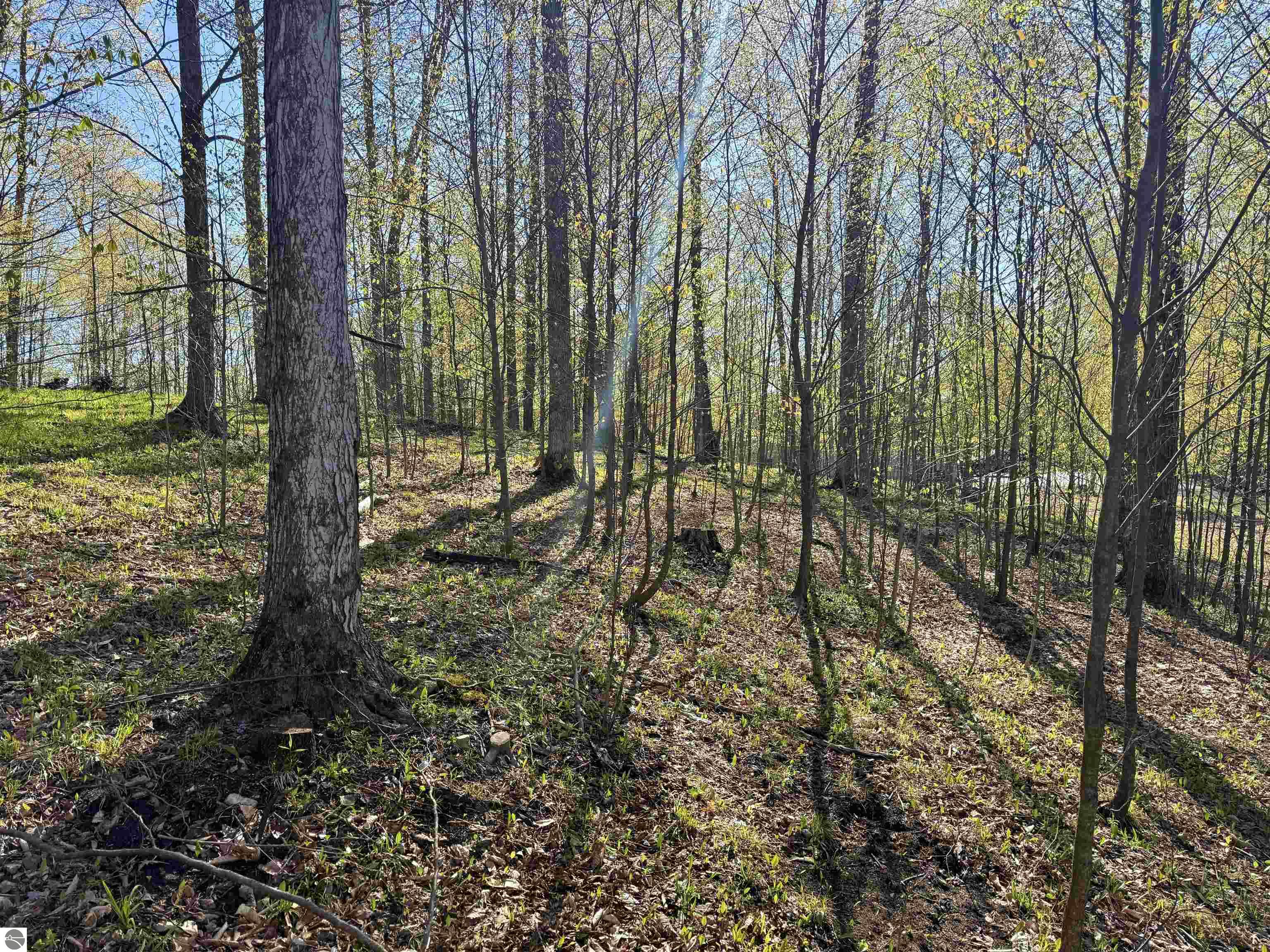 00 W Ravens Trail
