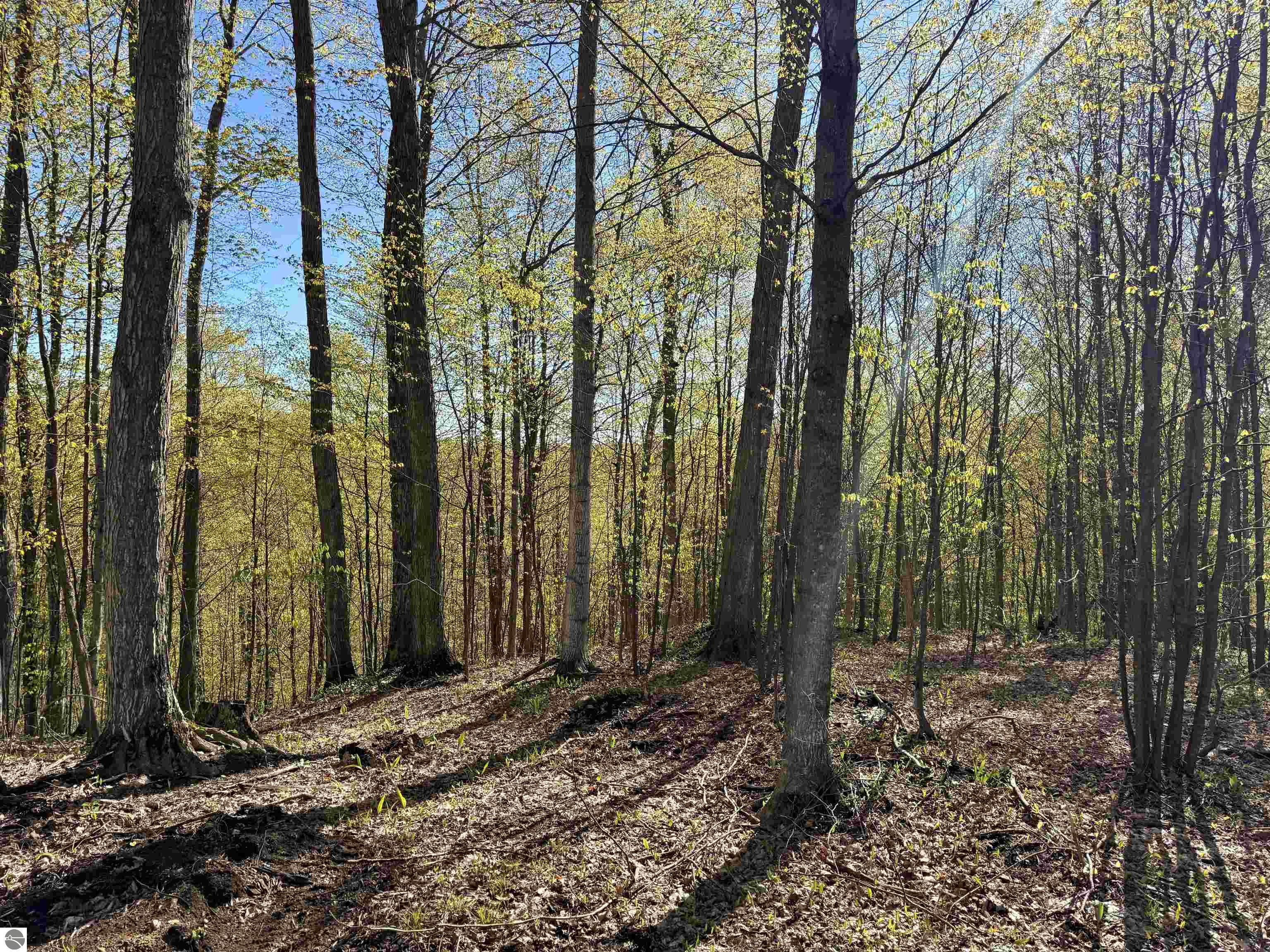 00 W Ravens Trail