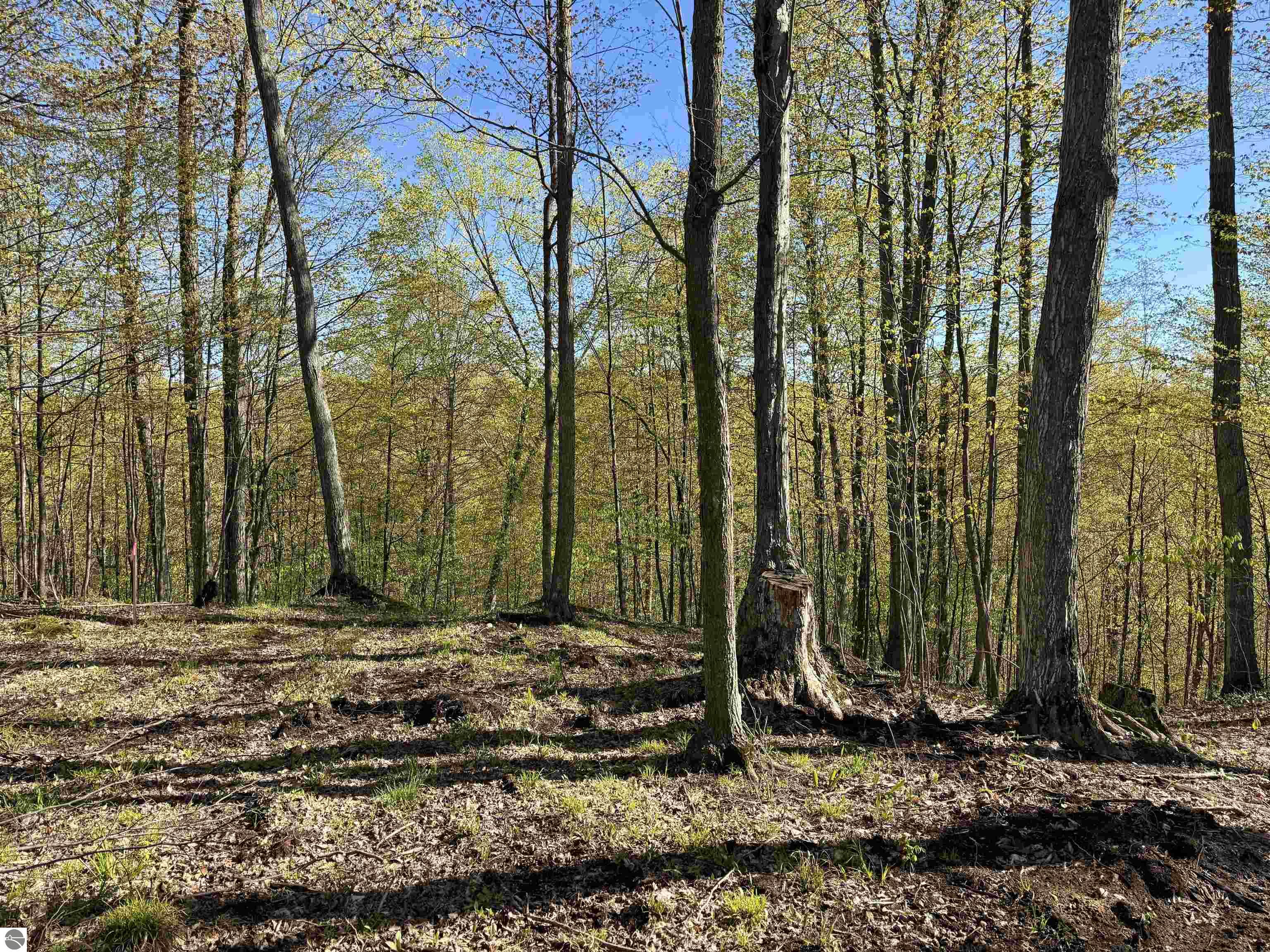 00 W Ravens Trail