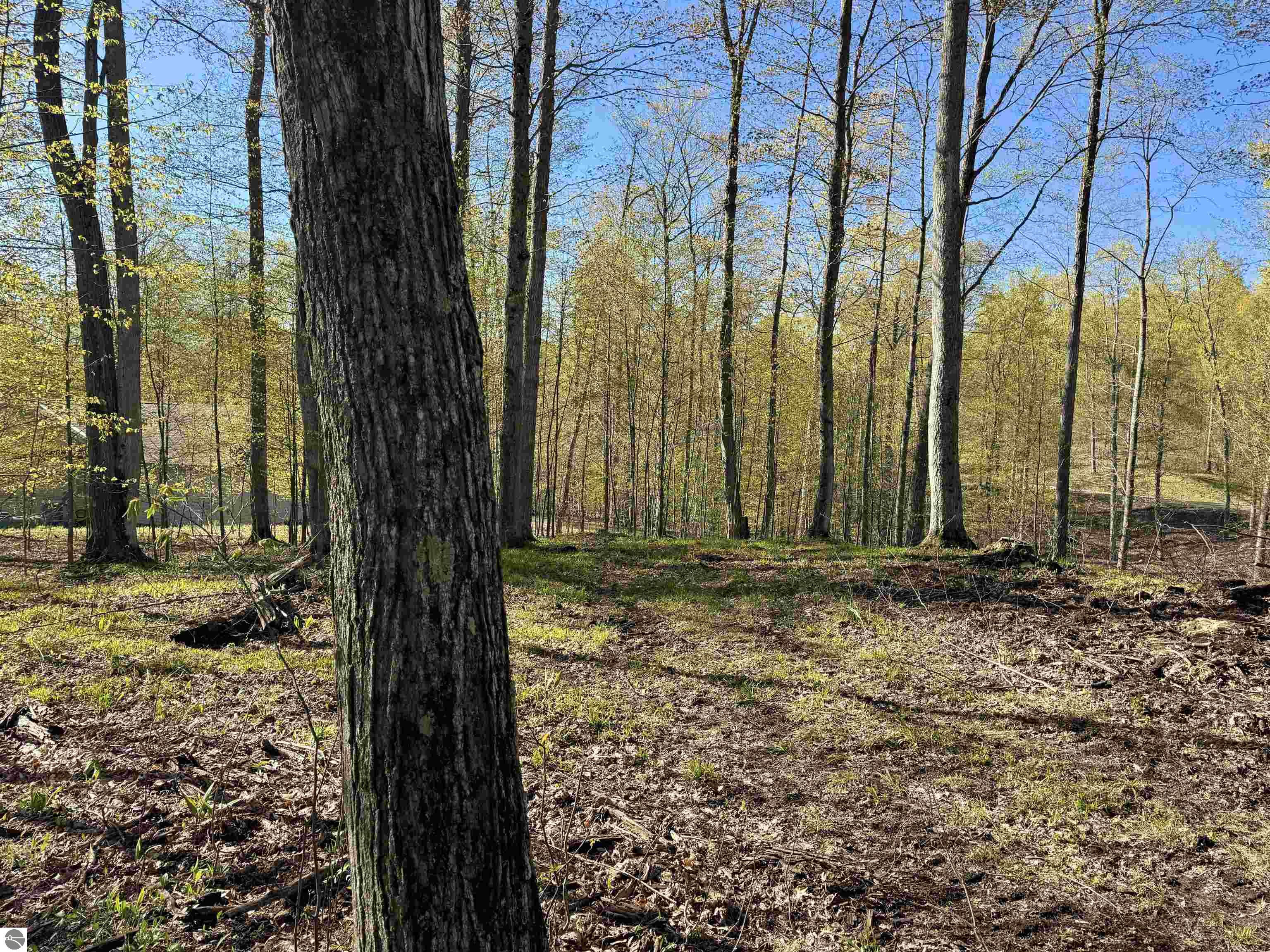 00 W Ravens Trail