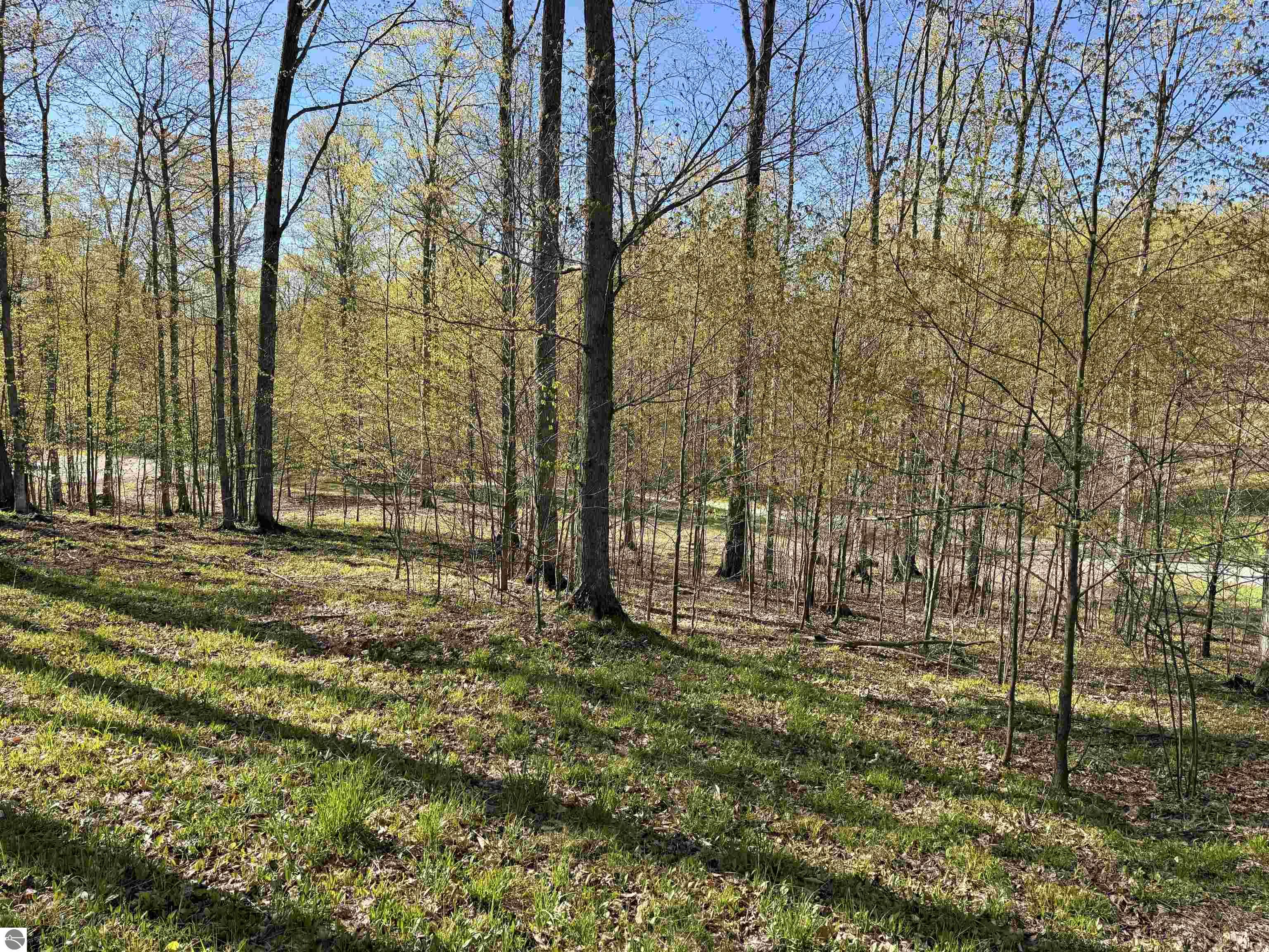 00 W Ravens Trail
