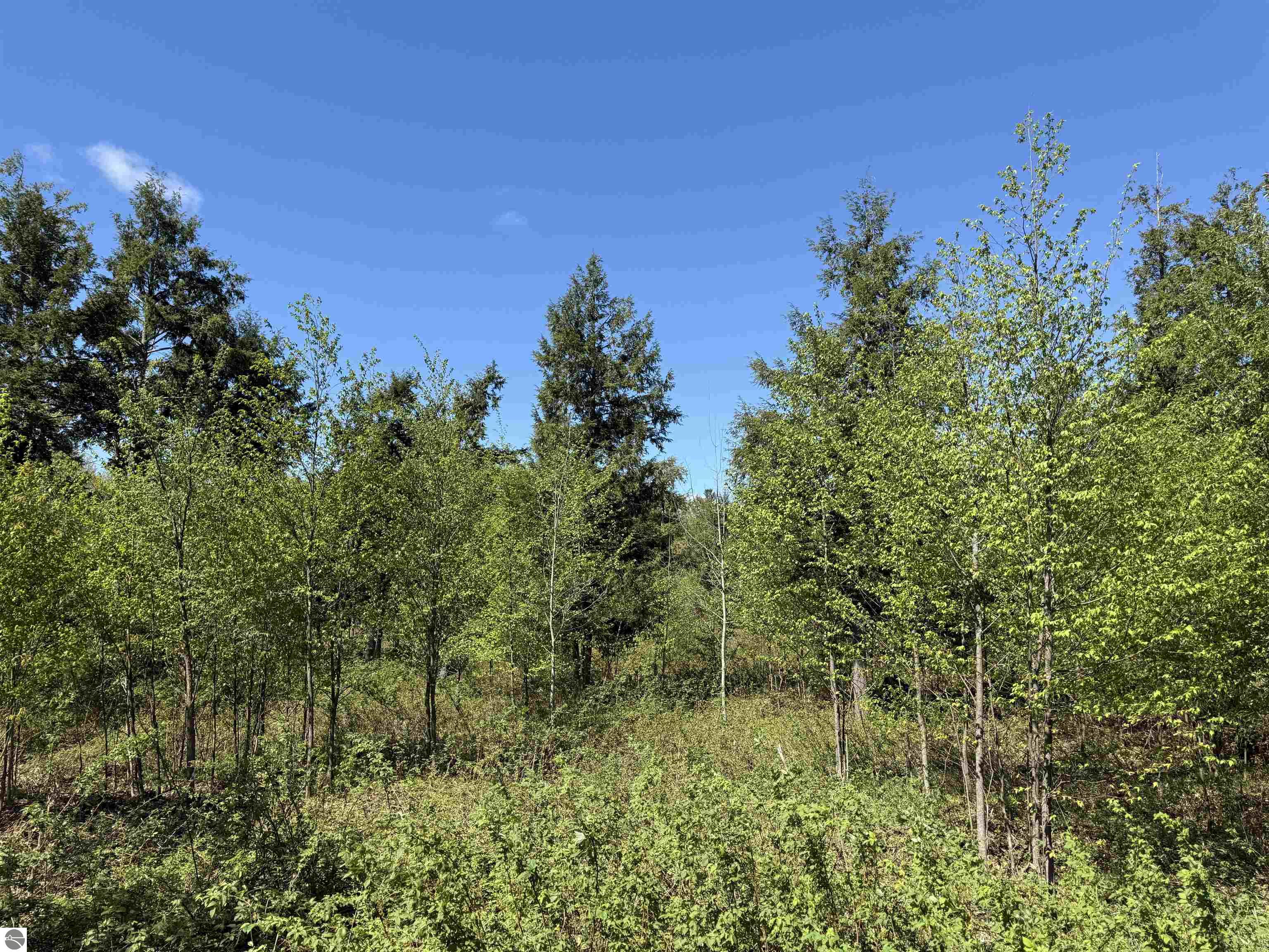 8787 Hemlock Hill Drive