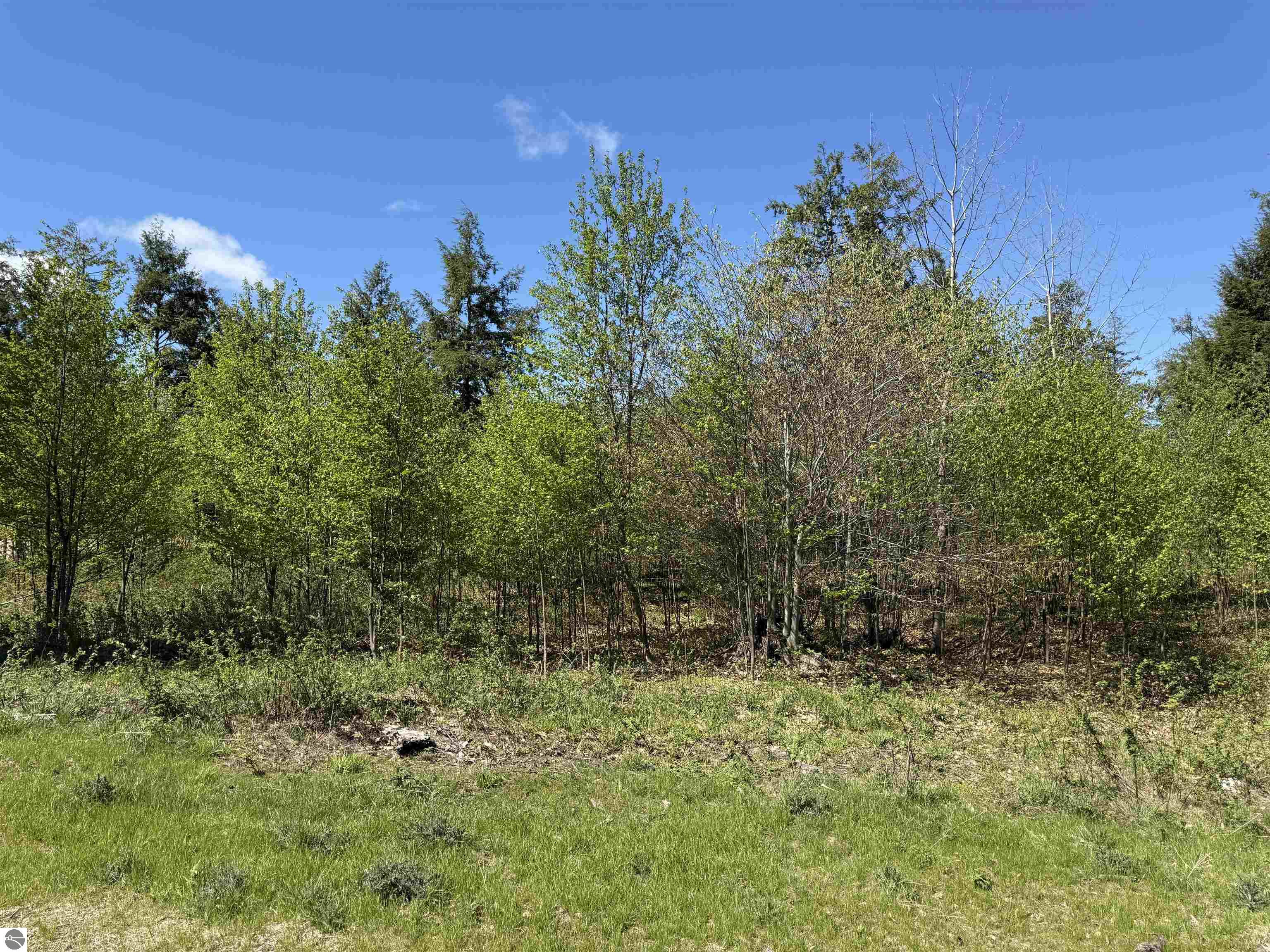 8787 Hemlock Hill Drive