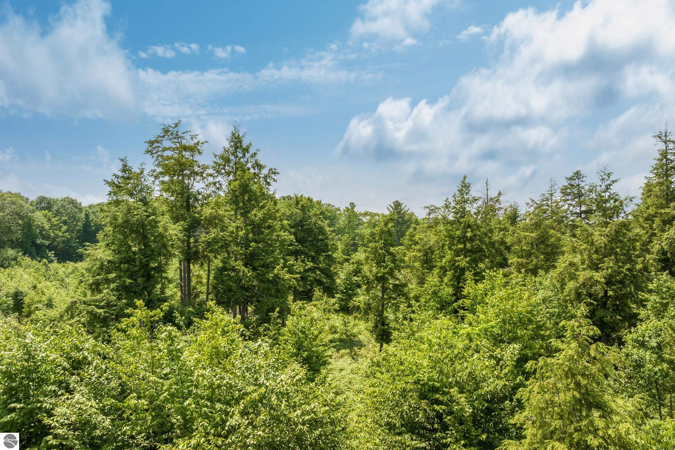 8787 Hemlock Hill Drive