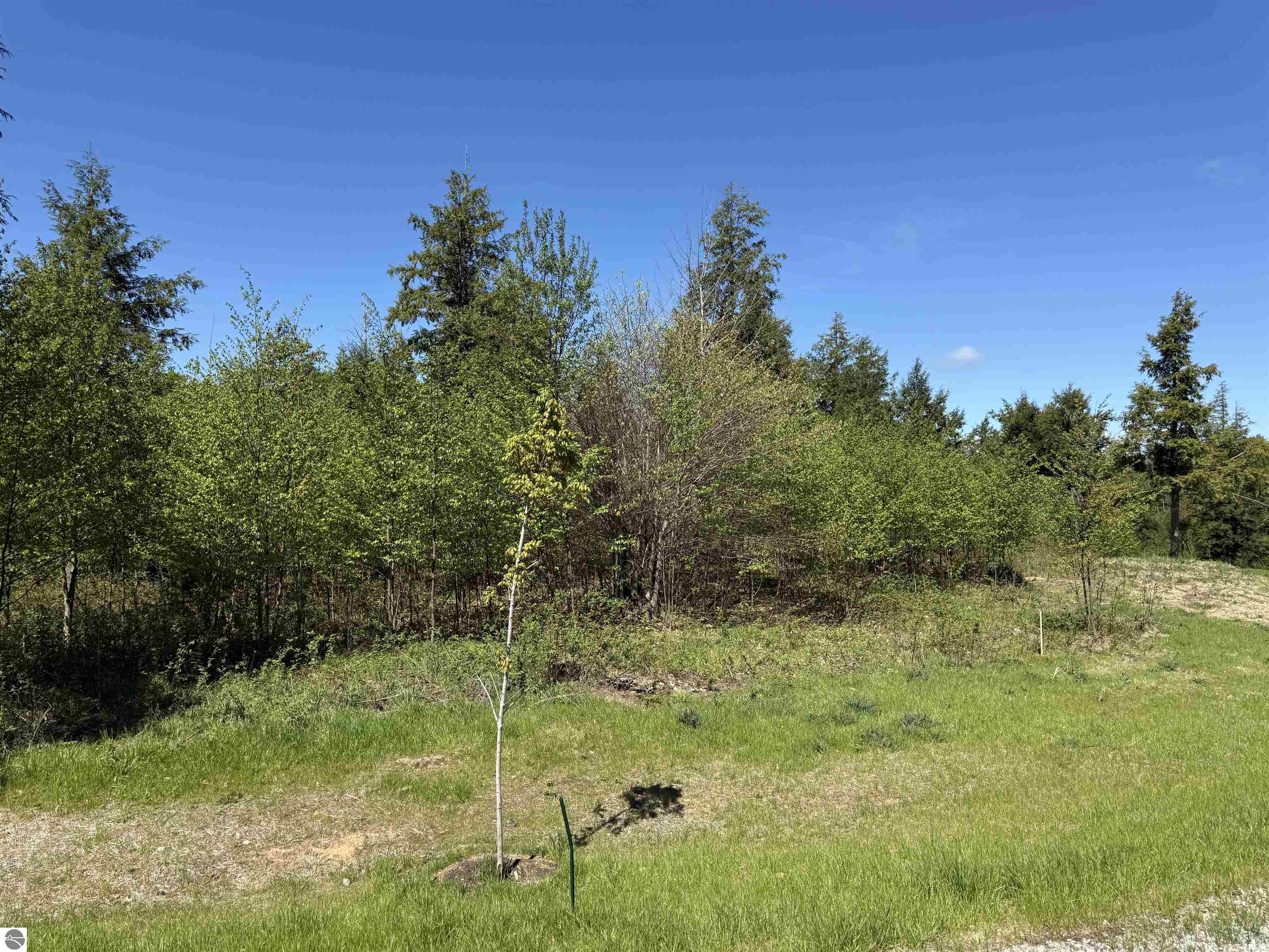 8787 Hemlock Hill Drive