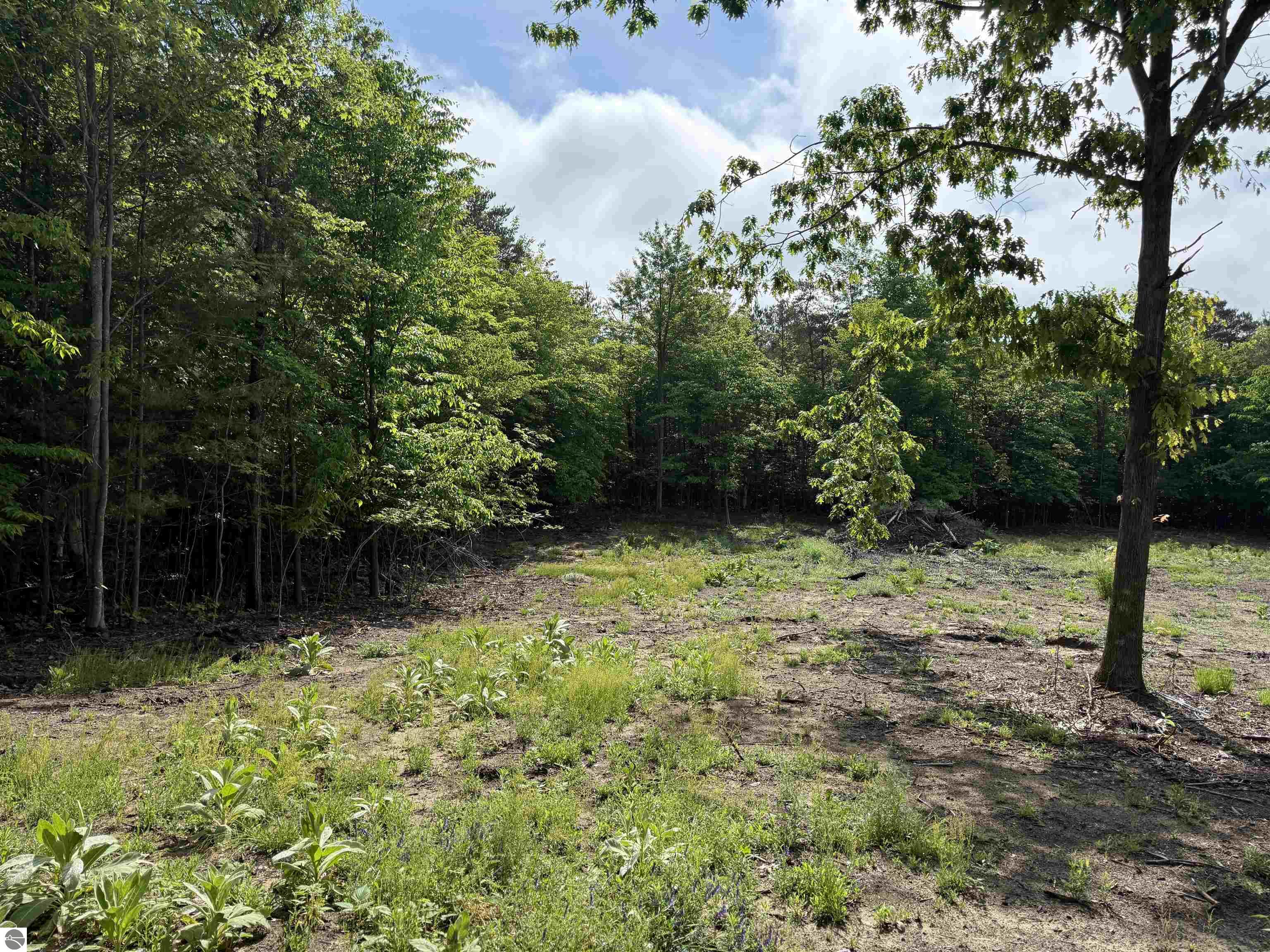 19493 Paradise Ridge Trail