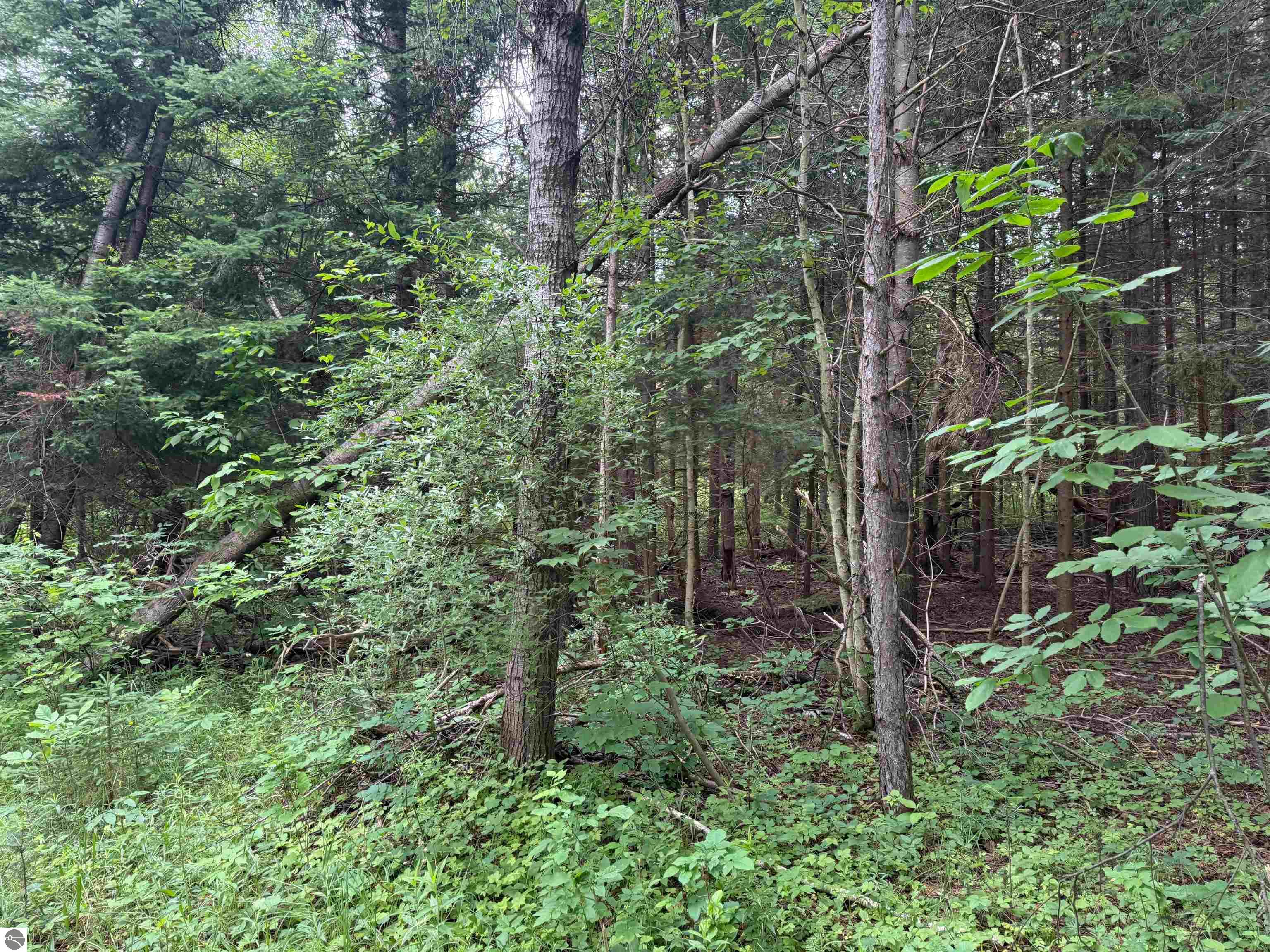 0000 S Good Harbor Trail
