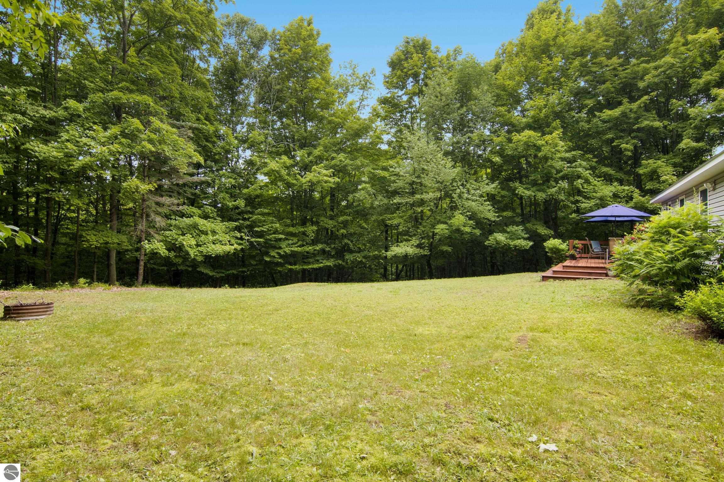11530 S Benzonia Trail