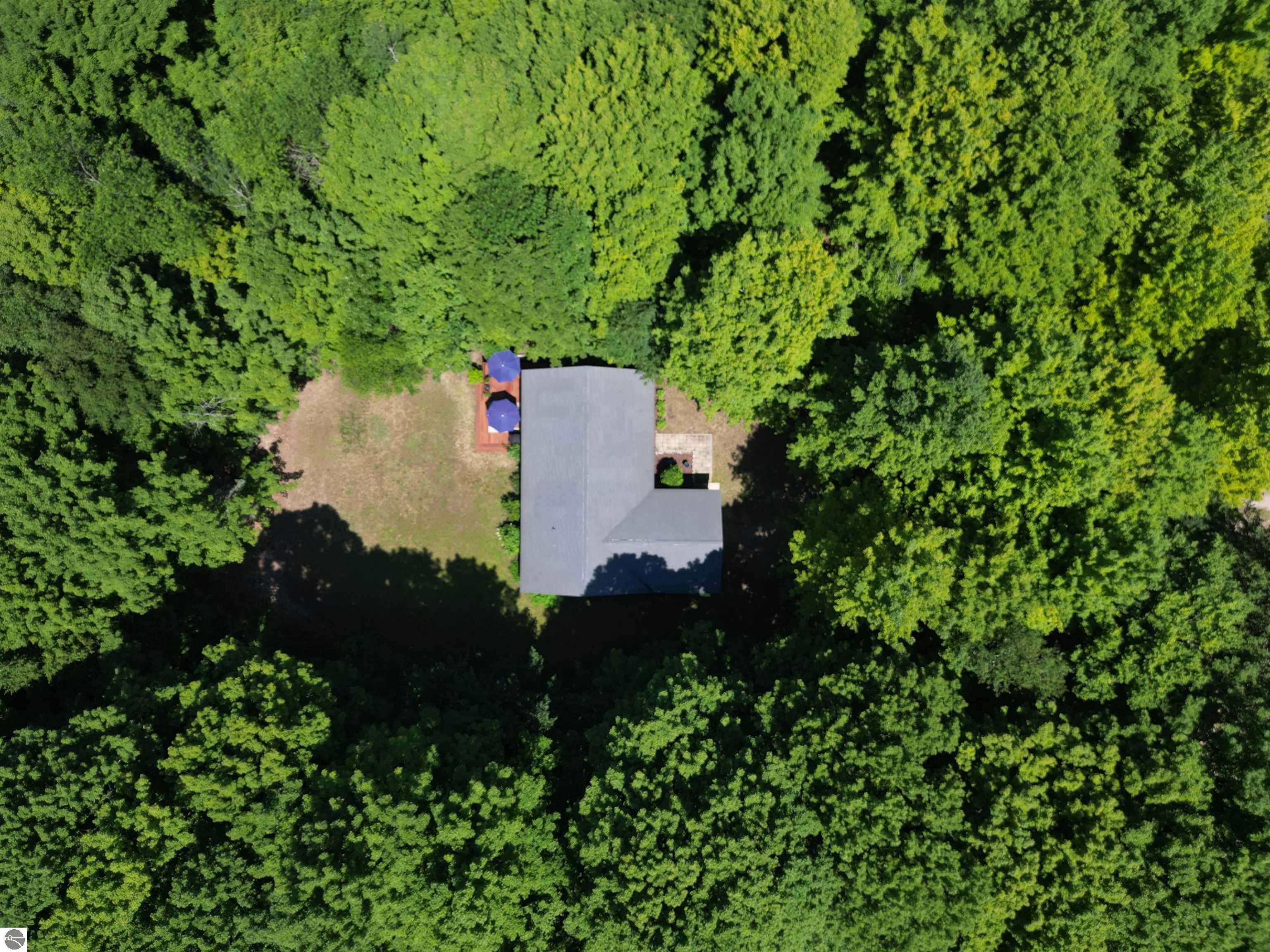 11530 S Benzonia Trail