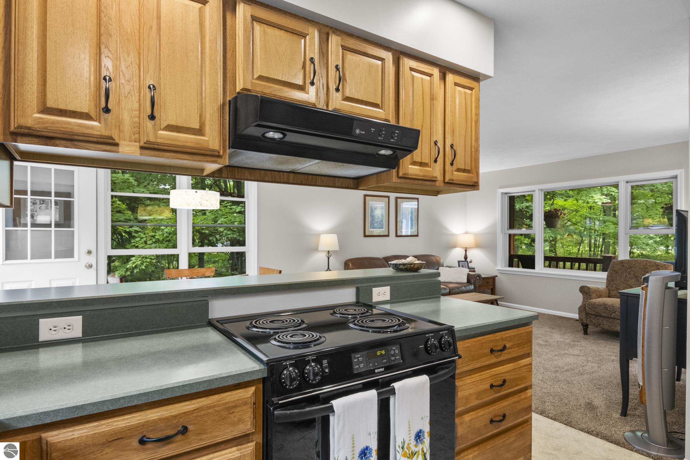 11530 S Benzonia Trail