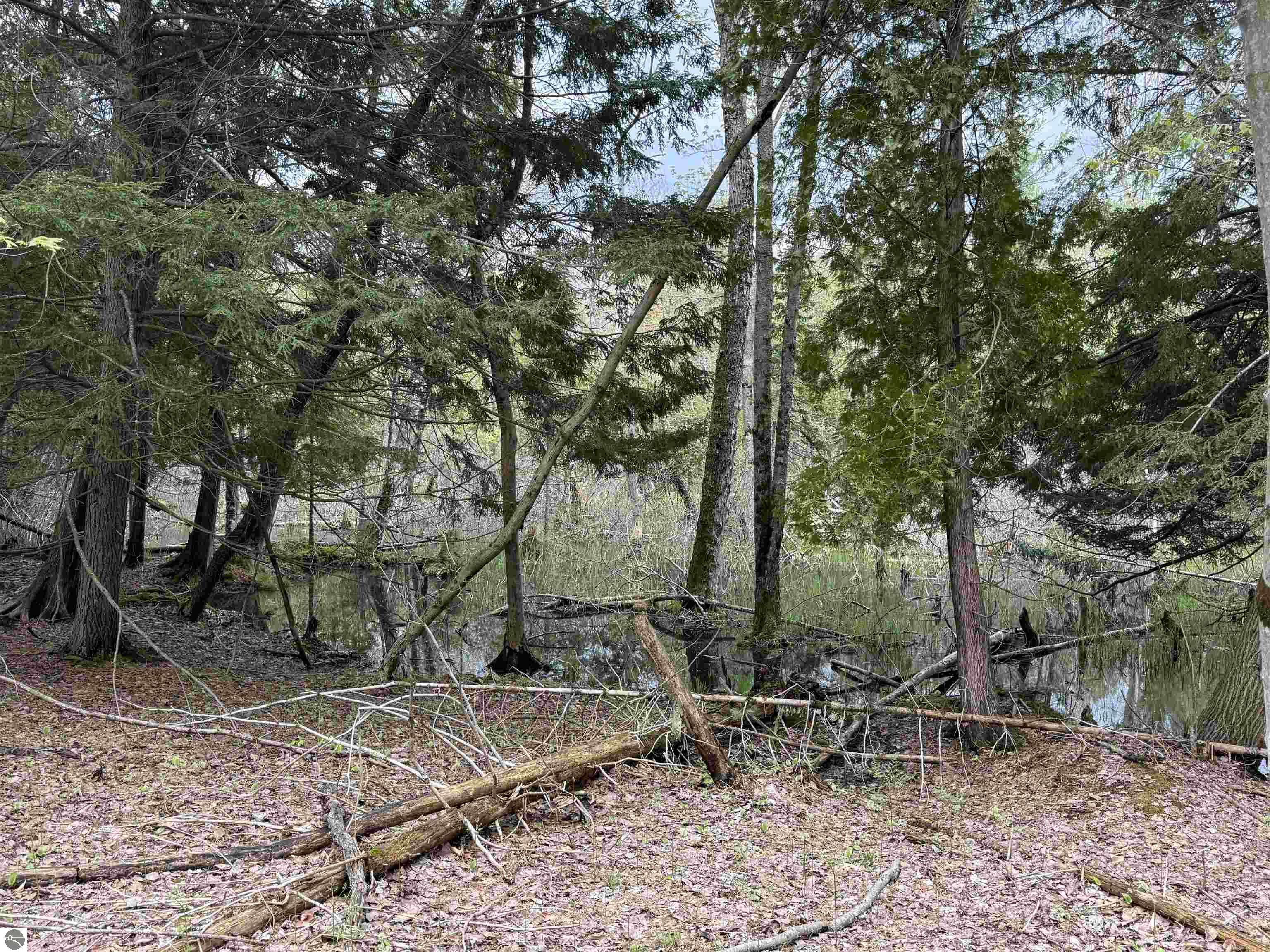6639 Fall Road