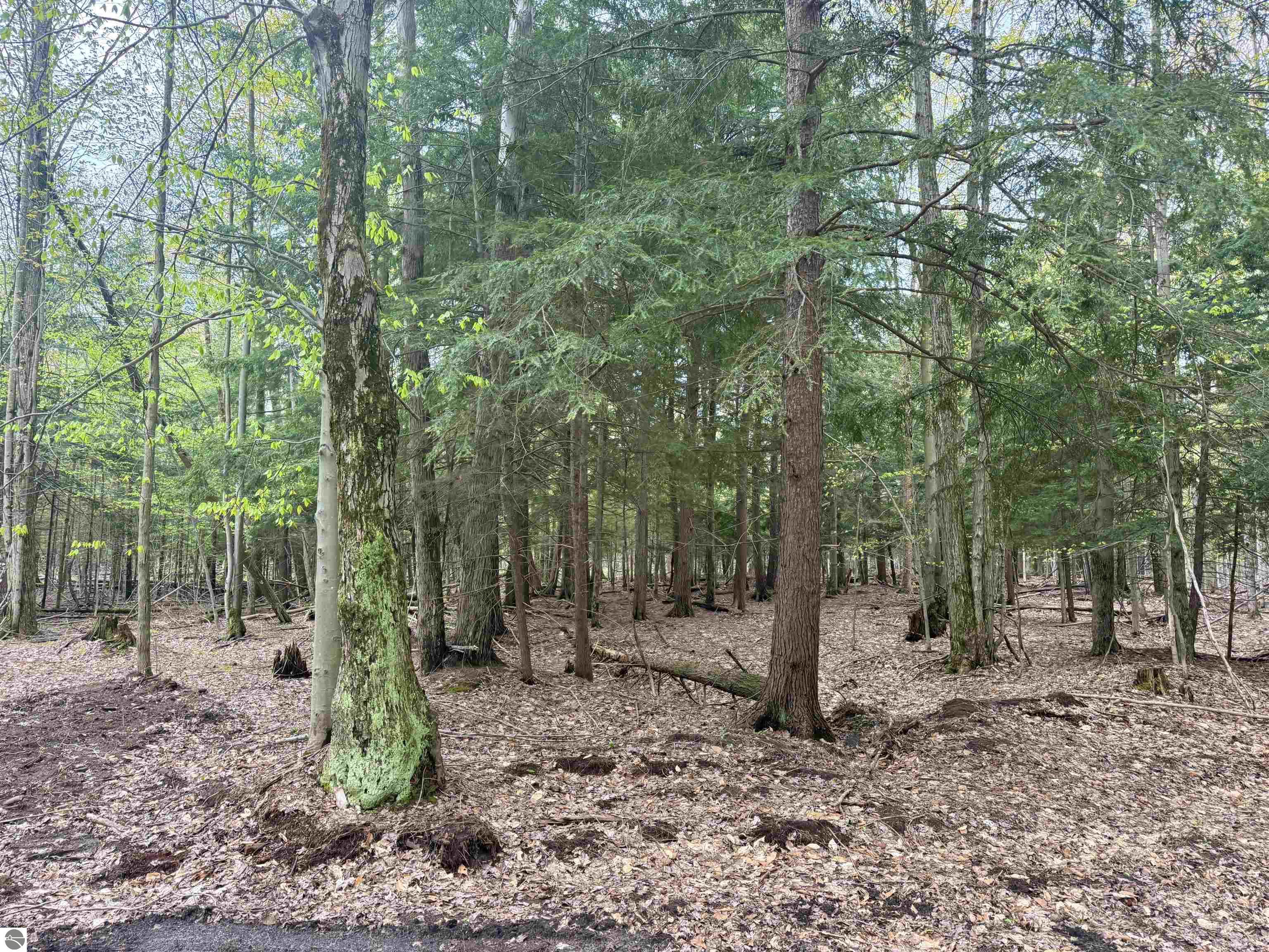 6639 Fall Road