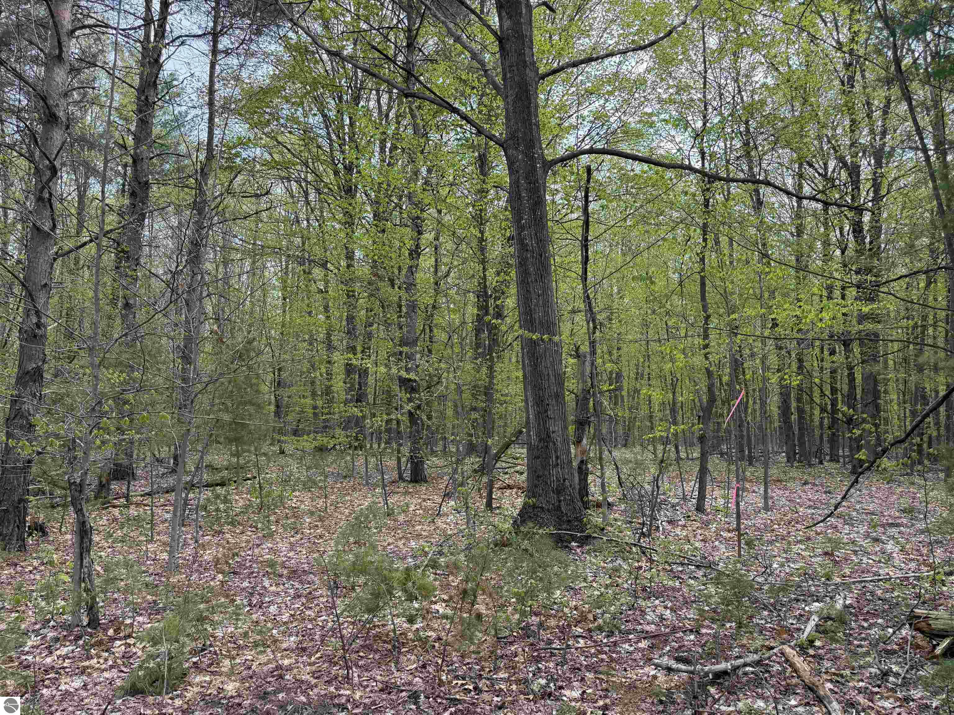 6639 Fall Road