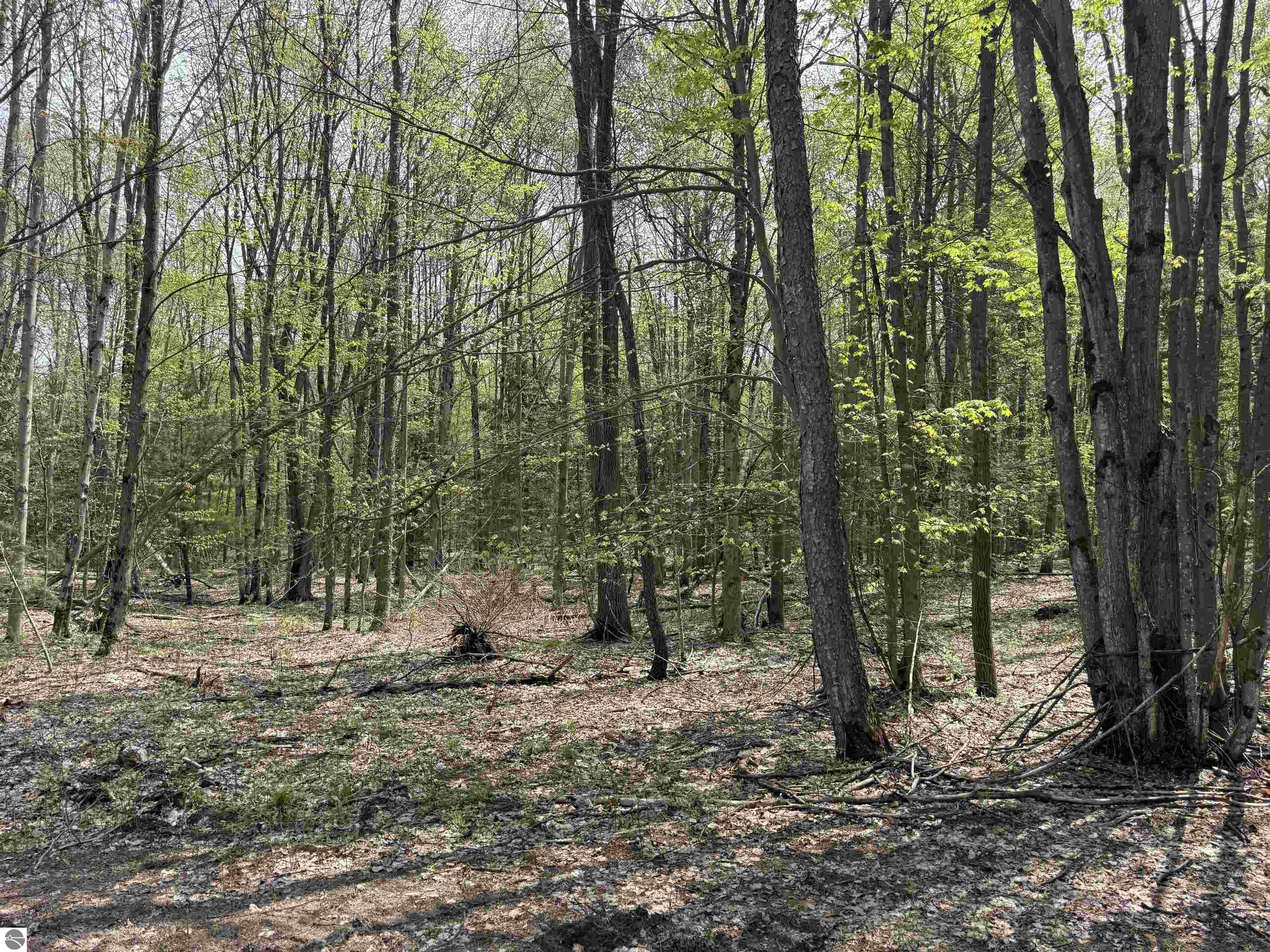 6639 Fall Road