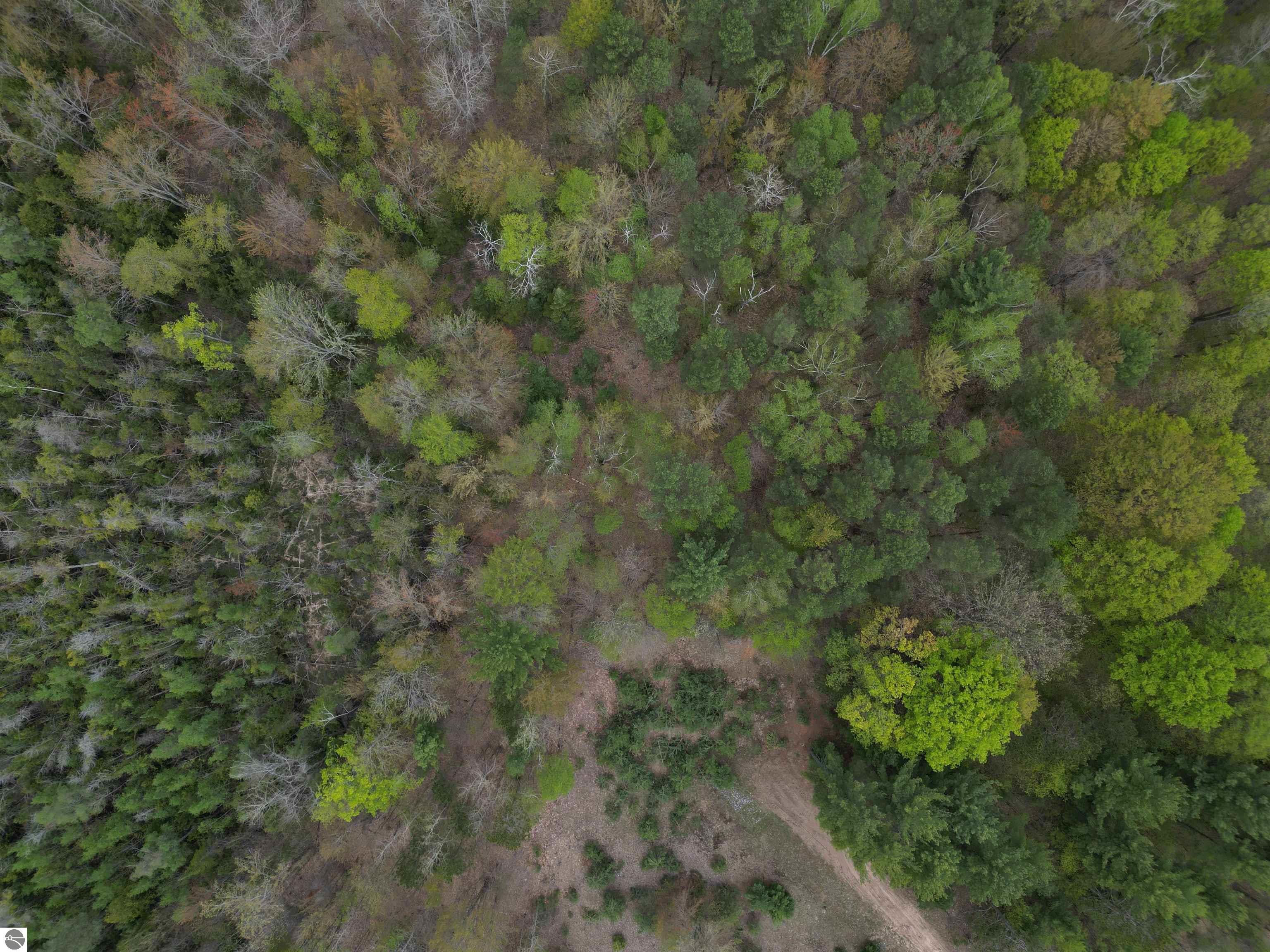 6639 Fall Road