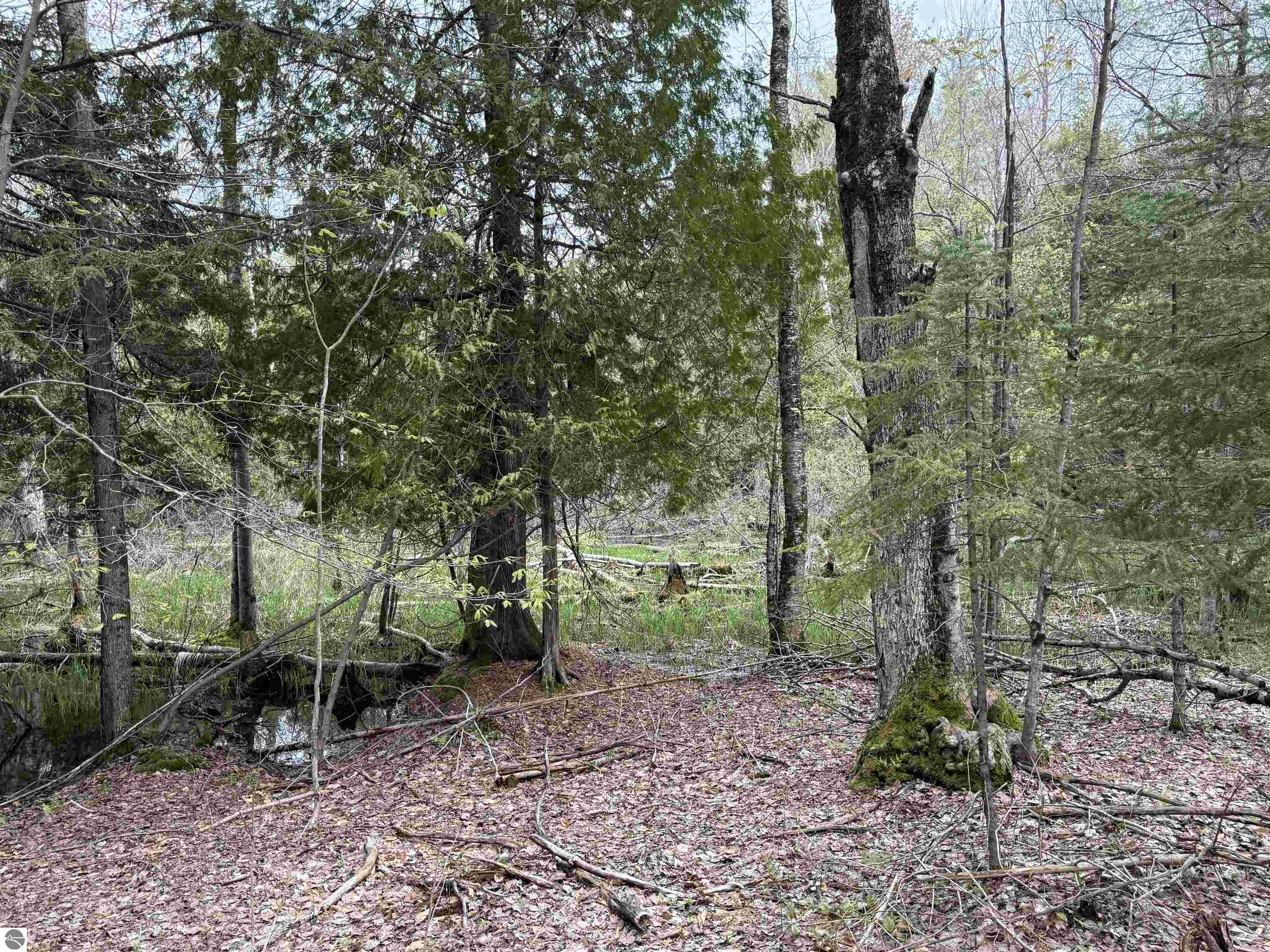 6639 Fall Road